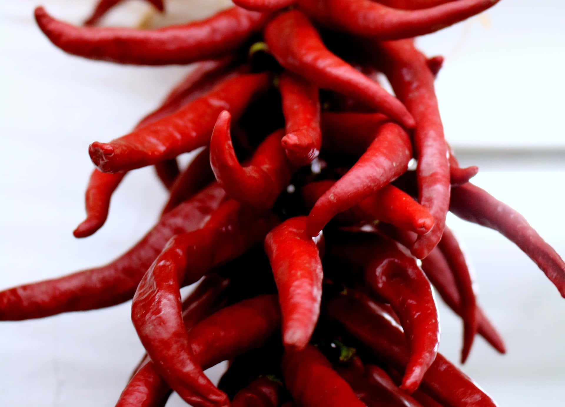 Hispanic, glossy red chili peppers, bright white background, Full HD Desktop Wallpaper