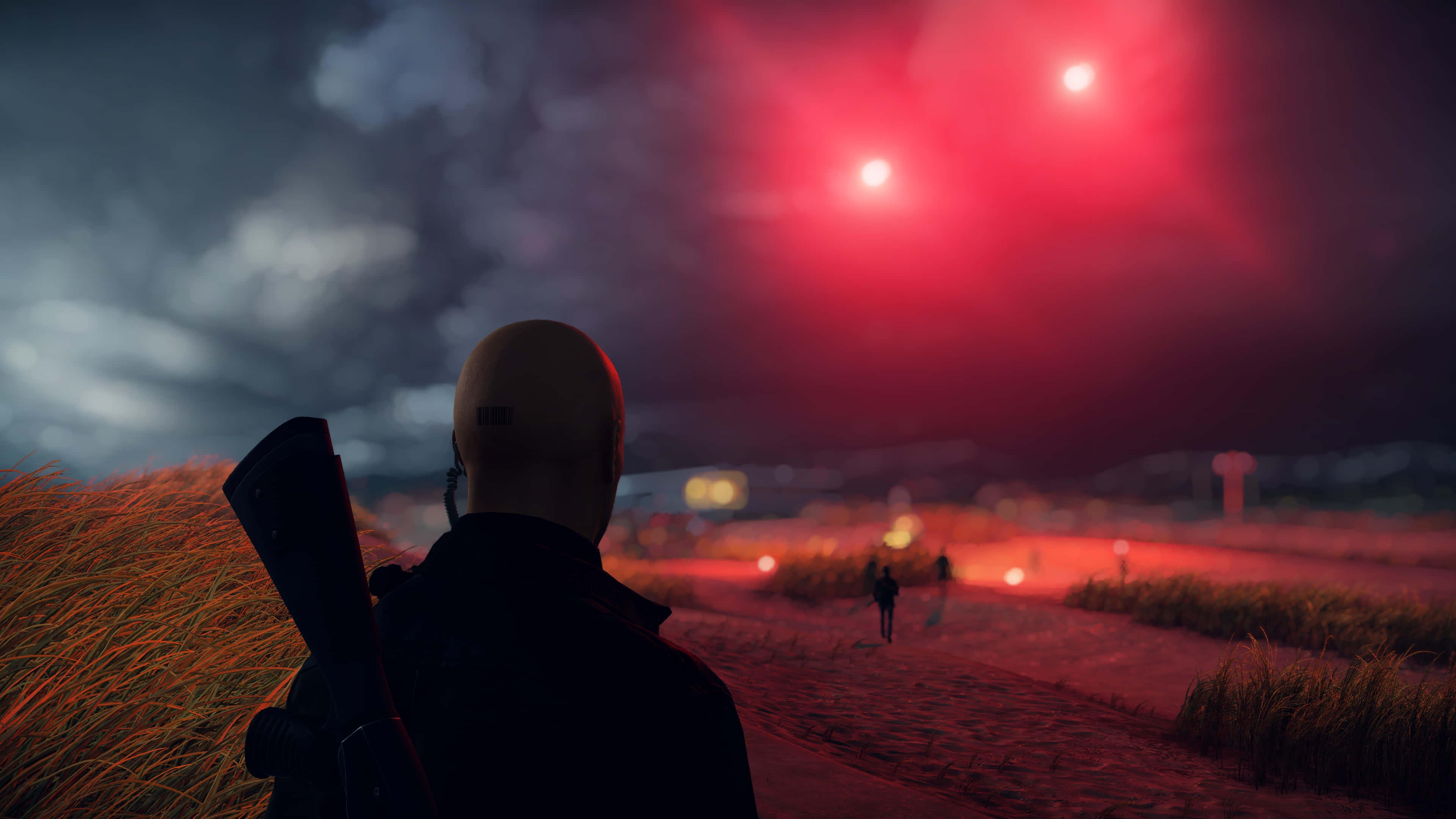 Hitman Agent 47, rifle, tall grass, 4K Desktop Wallpaper