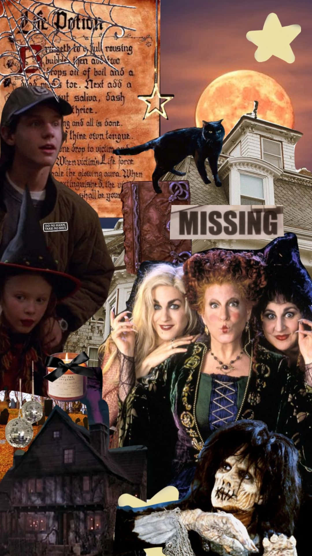 Hocus Pocus, witches, black cat, Full HD Phone Wallpaper