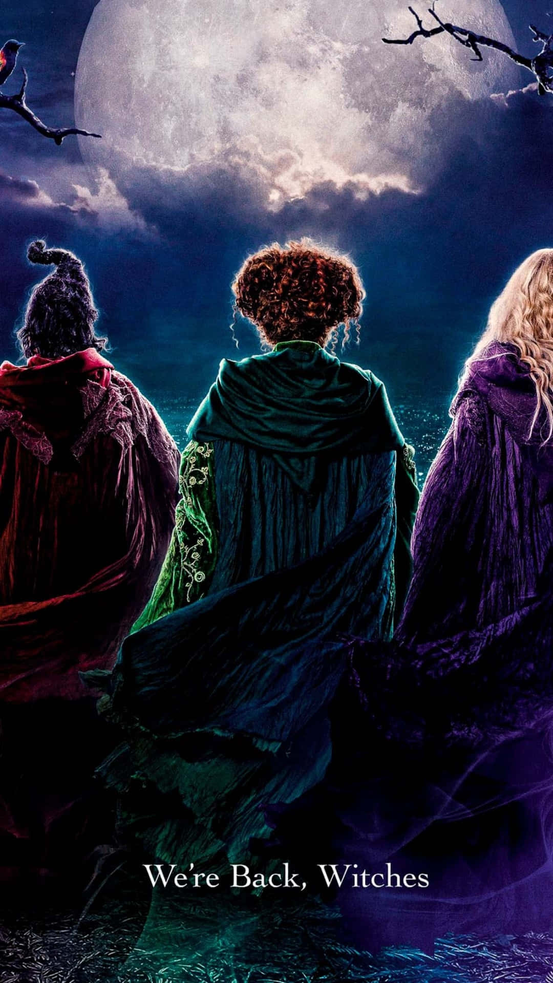 Hocus Pocus, witches, moonlight, Full HD Phone Wallpaper