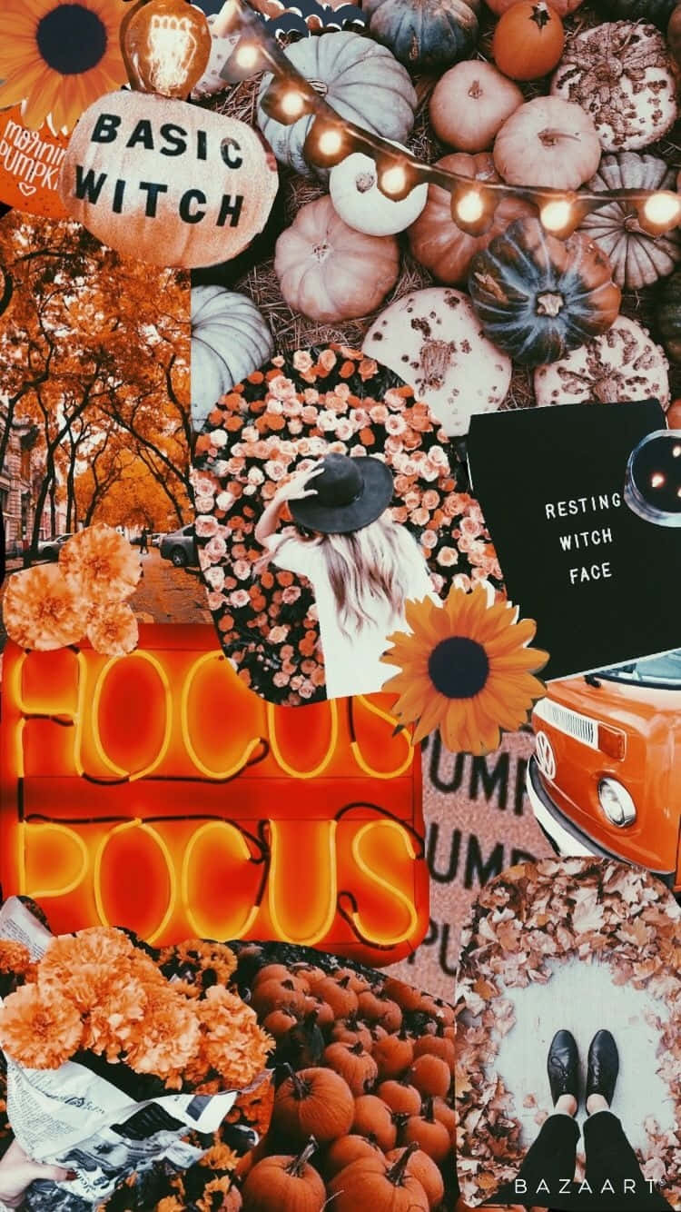 Hocus Pocus, autumn witch, pumpkins, HD Phone Wallpaper
