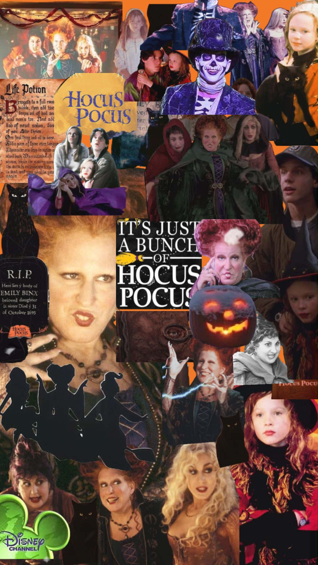 Hocus Pocus, witches, pumpkins, Full HD Phone Wallpaper