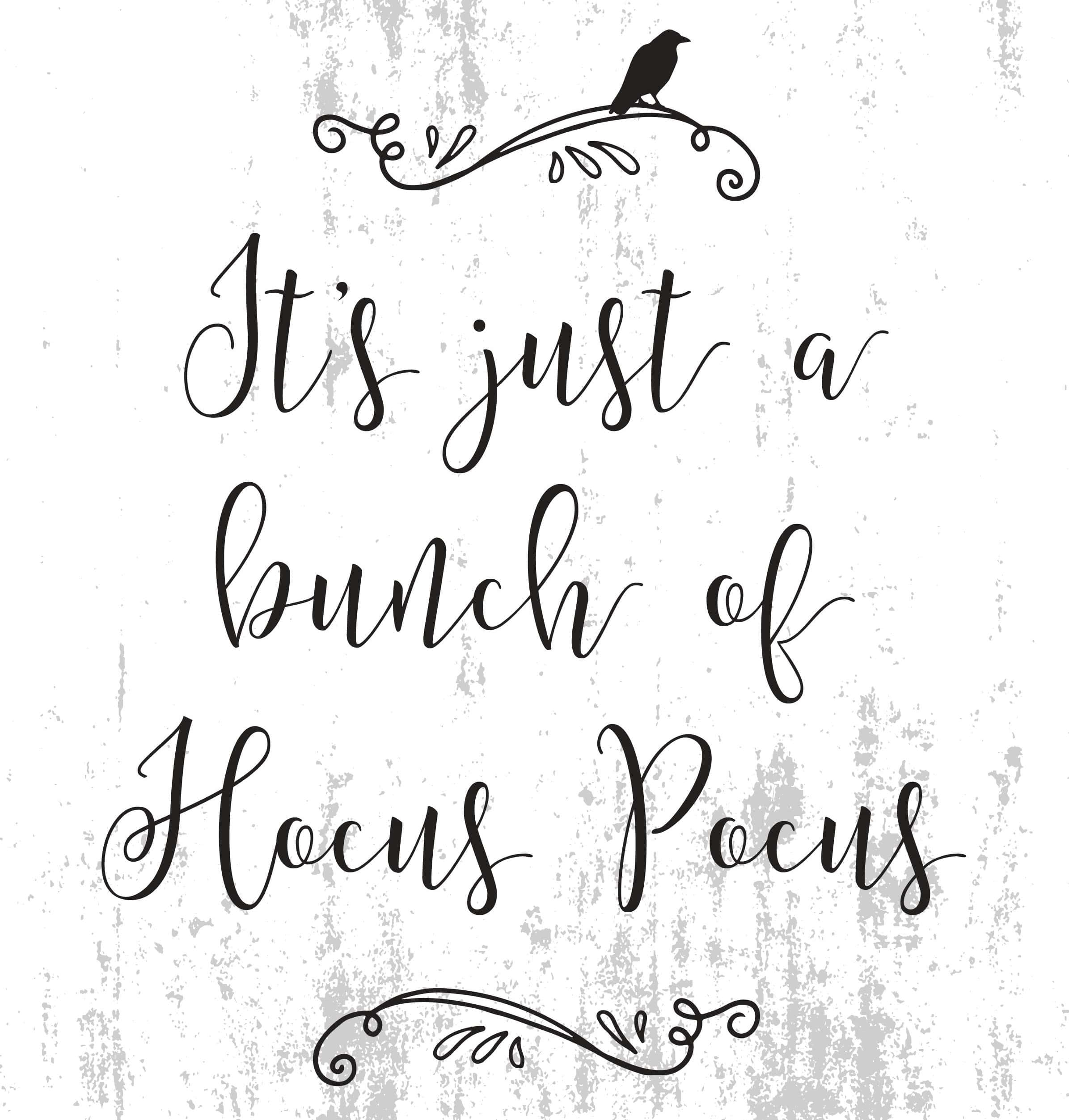 Hocus Pocus, black cursive quote, crow, Full HD Phone Wallpaper