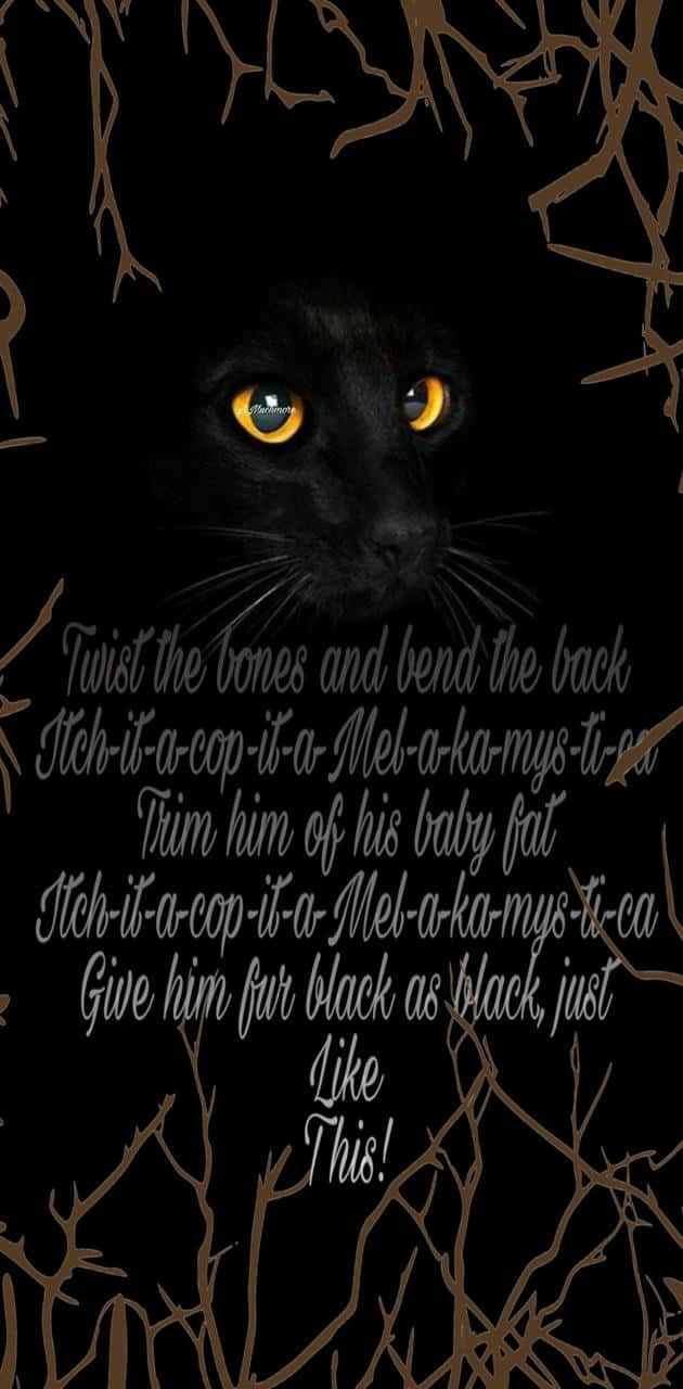 Hocus Pocus, iPhone, black cat, HD Phone Wallpaper