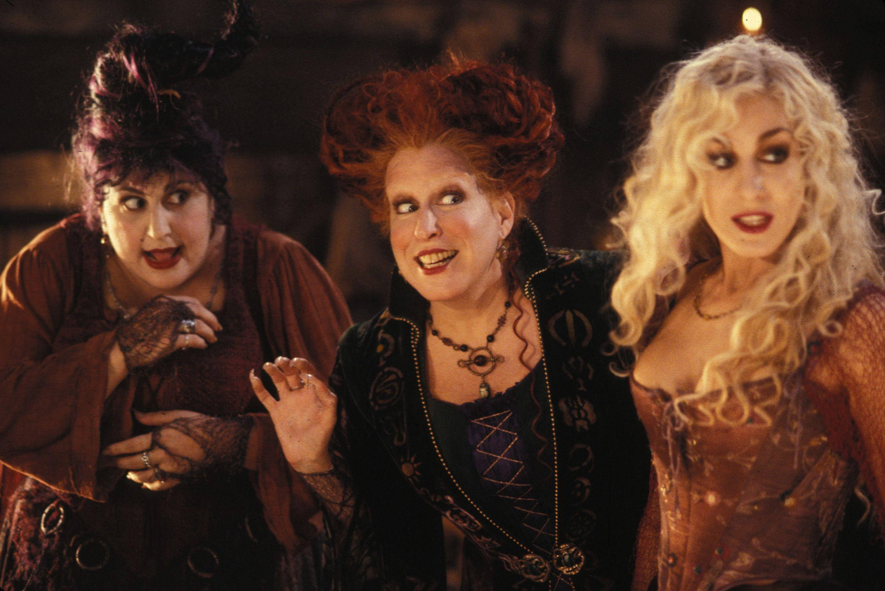 Hocus Pocus, witches, wild hair, 2K Desktop Wallpaper