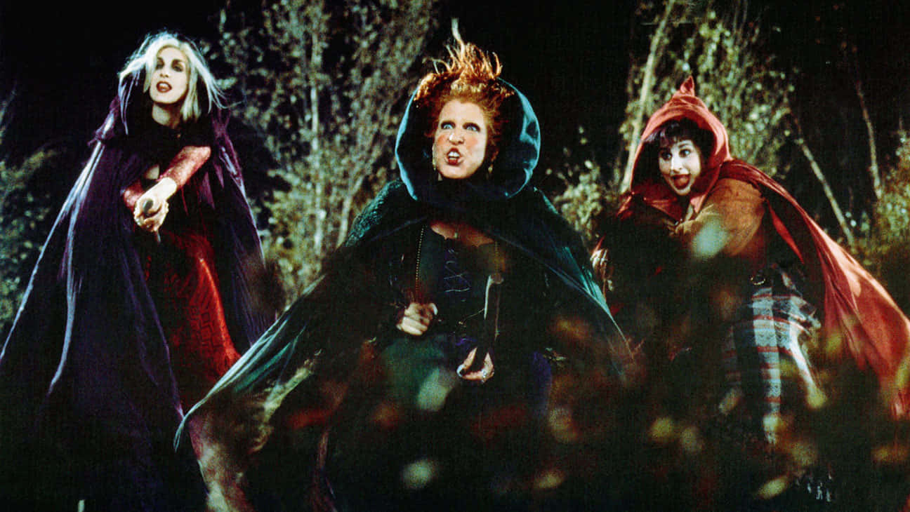 Hocus Pocus, three witches, dramatic cloaks, HD Desktop Wallpaper