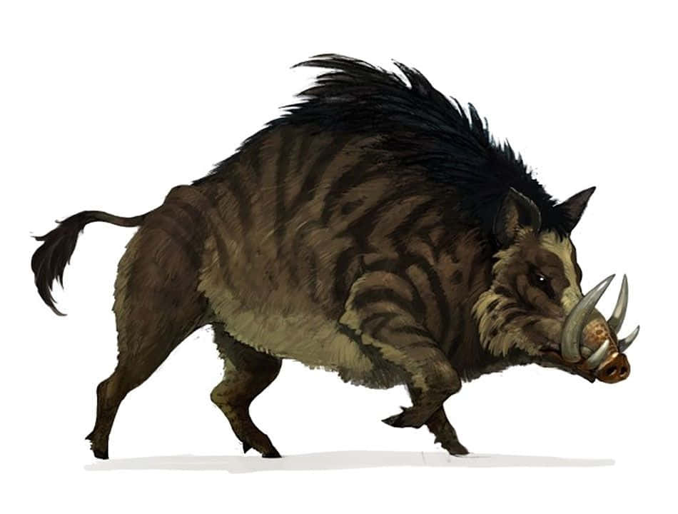 Hog, boar, dark bristly mane, SD Desktop Wallpaper