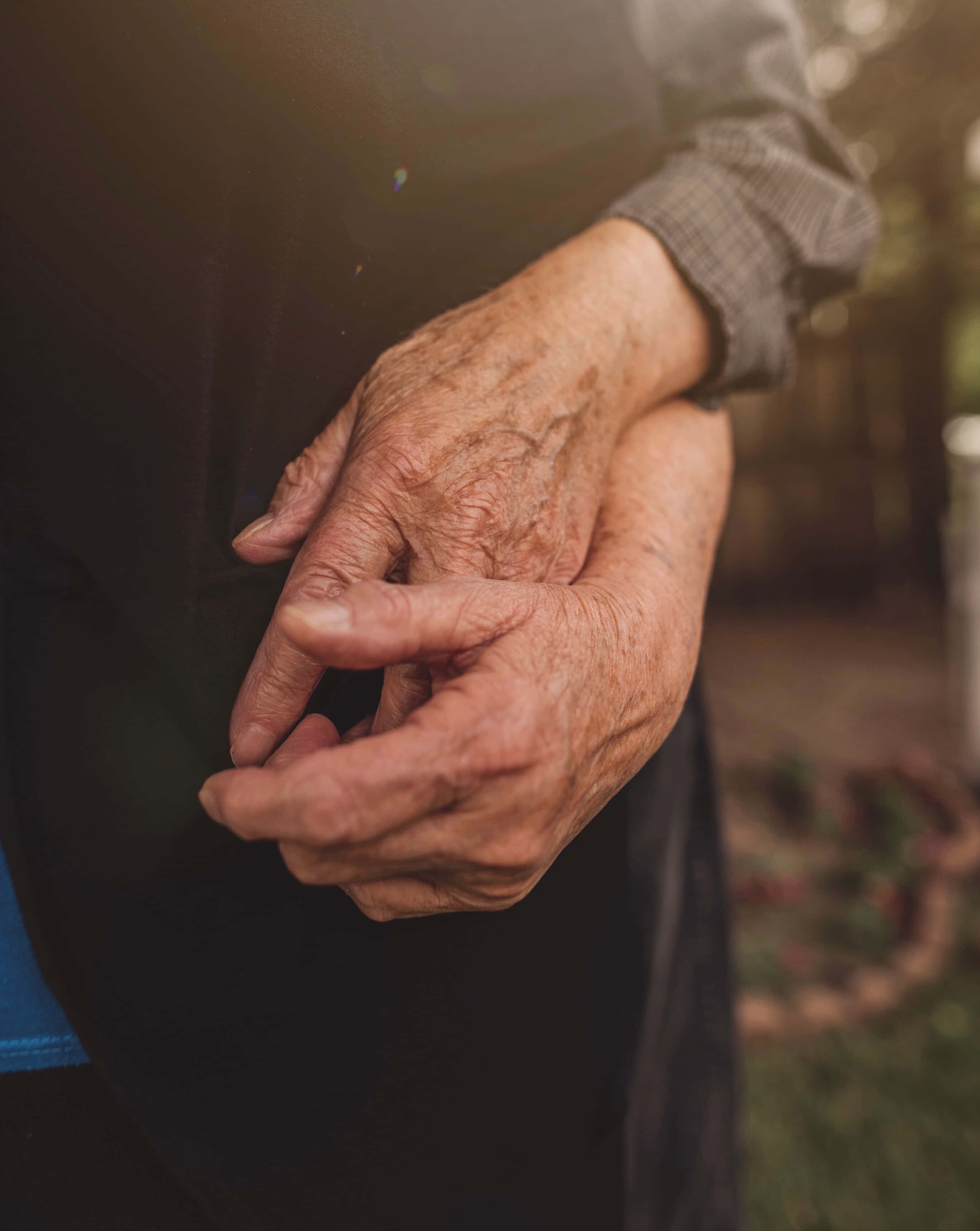 old couple, hands, golden sunlight, 2K Phone Wallpaper