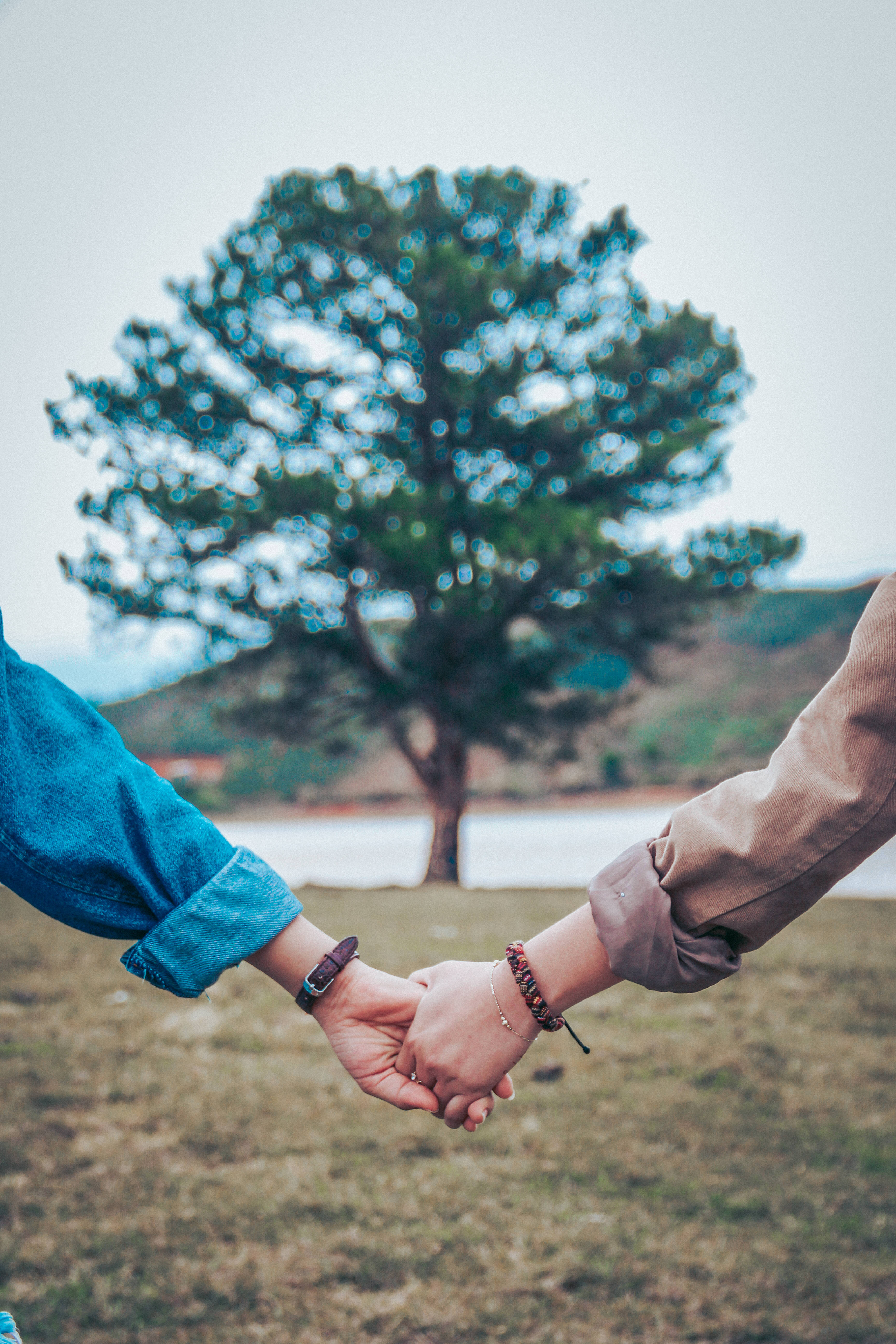 couple, grassy field, blurred tree, 5K Phone Wallpaper