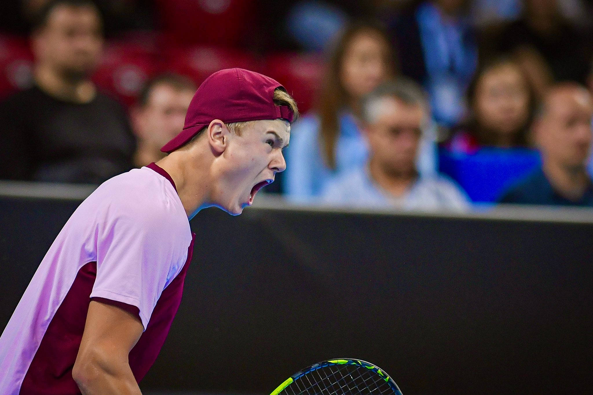 Holger Rune, maroon cap, maroon shirt, Full HD Desktop Wallpaper