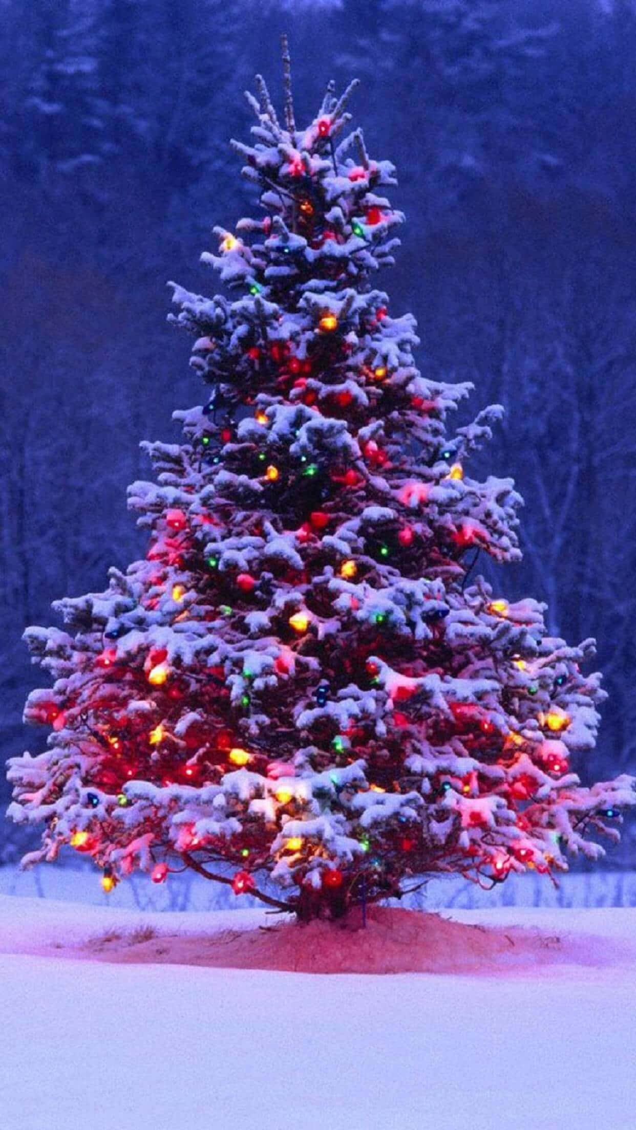 Holiday iPhone, Christmas tree, colorful lights, Full HD Phone Wallpaper
