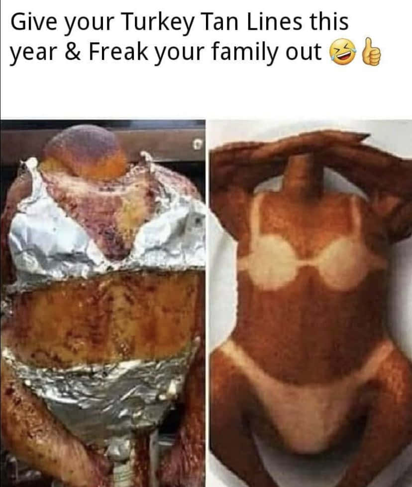 holiday memes, roasted turkey, foil covering, SD Phone Wallpaper