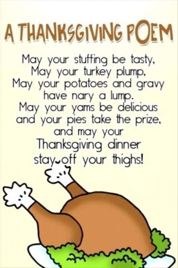 cartoon turkey, plate, Thanksgiving poem, SD Phone Wallpaper