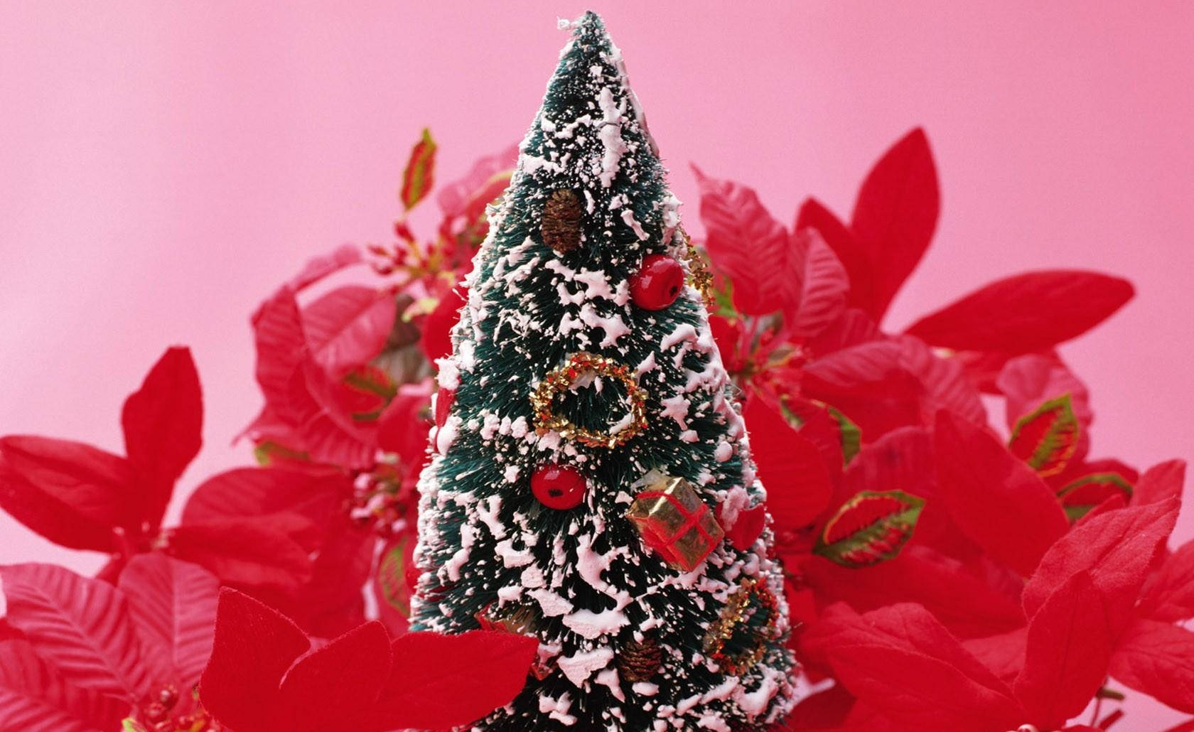 Christmas tree, snow-dusted, red ornaments, HD Desktop Wallpaper
