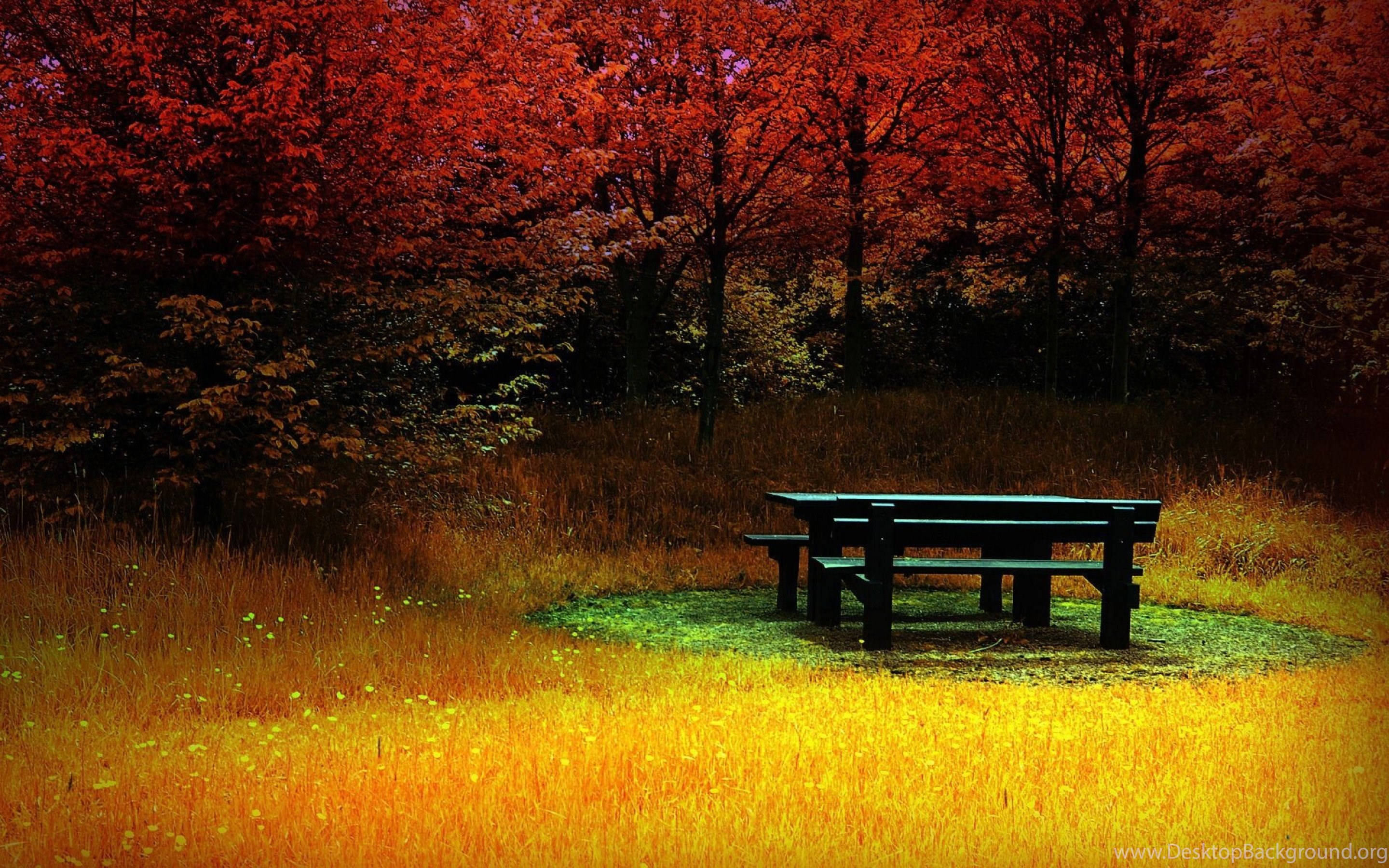 Holistic Picnic Area, golden grass, fiery red autumn trees, 2K Desktop Wallpaper