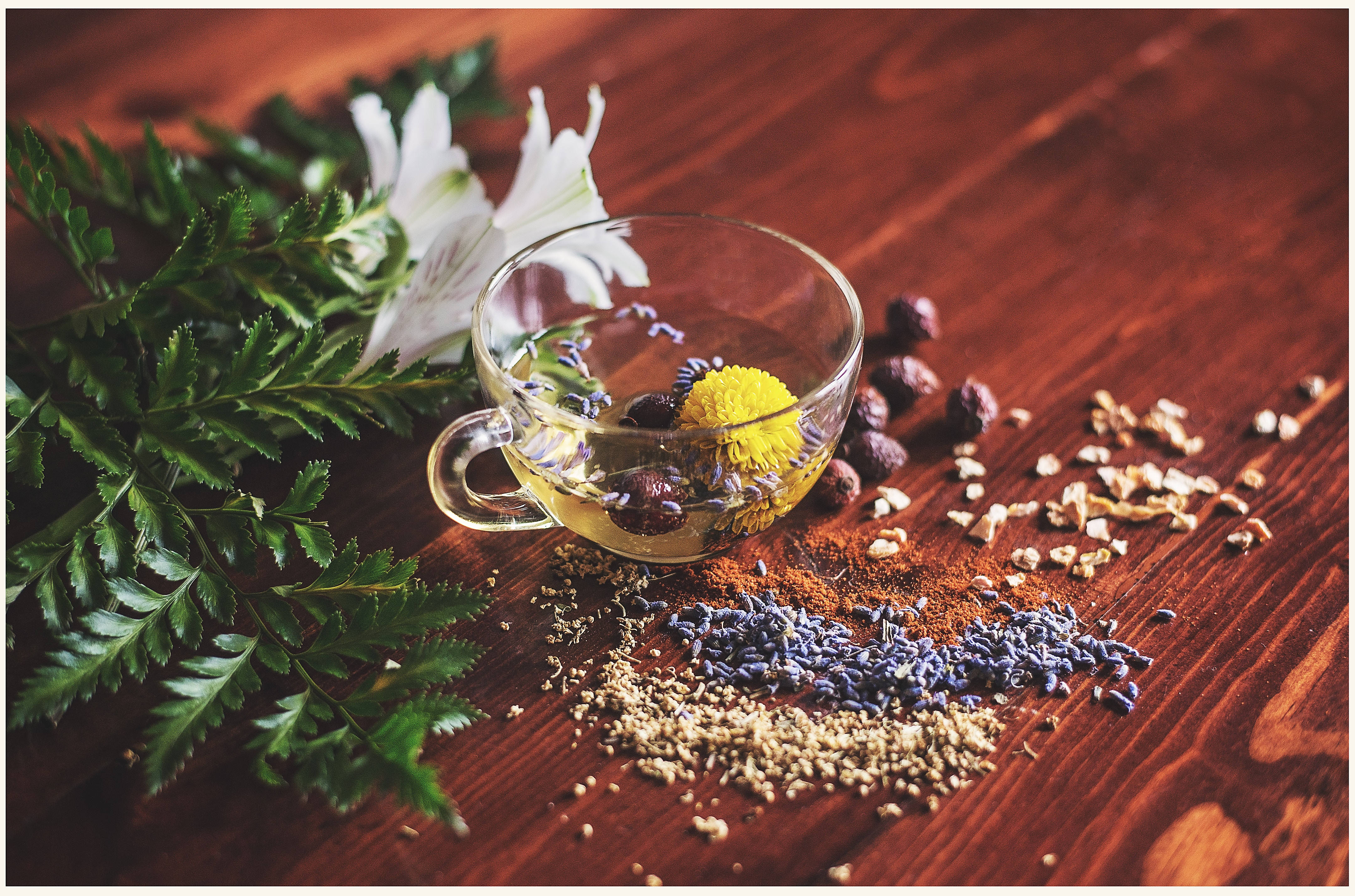 holistic herbal tea, glass teacup, herbal tea, 4K Desktop Wallpaper