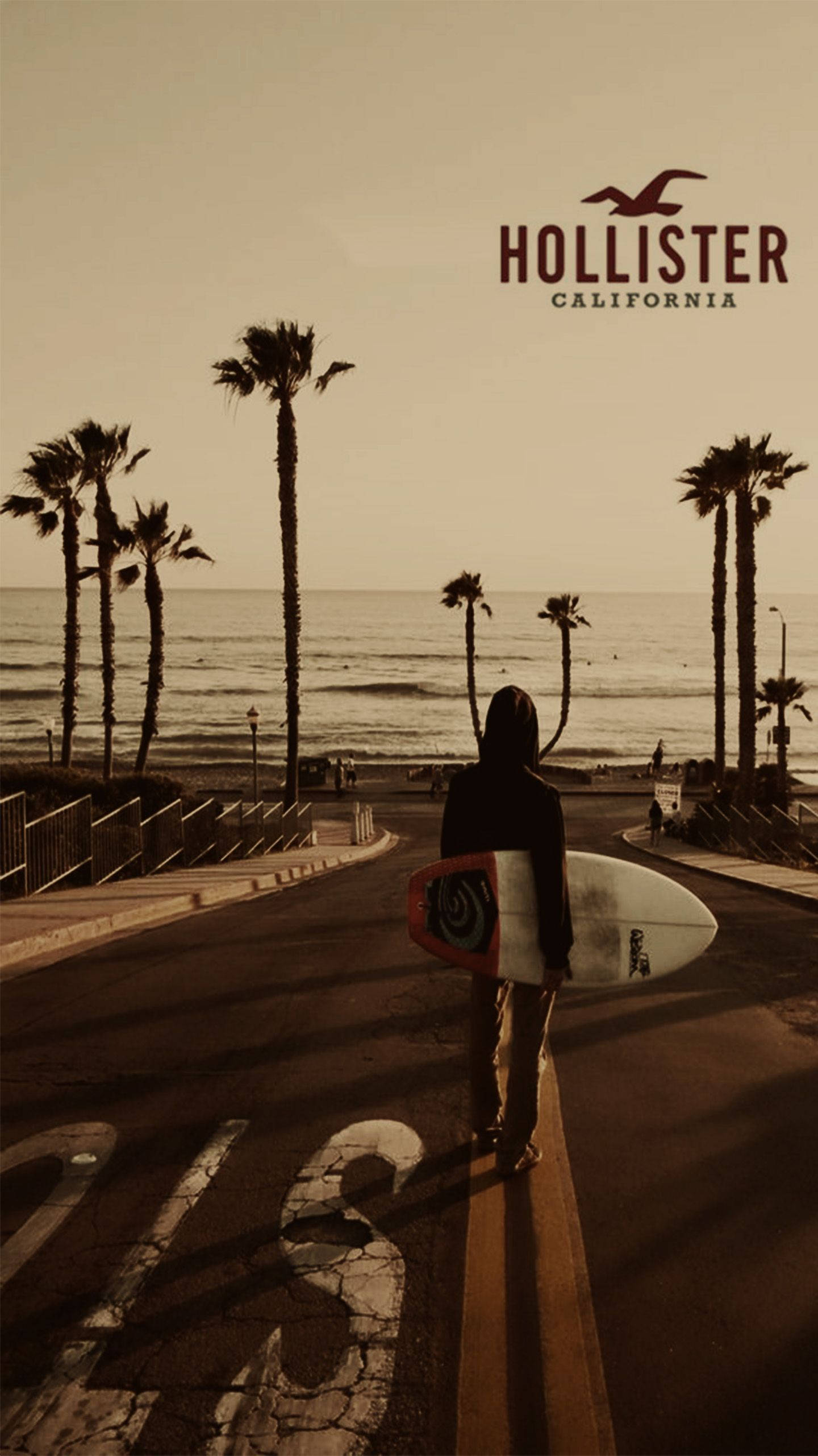 Hollister, surfer, palm-lined coastal road, 2K Phone Wallpaper