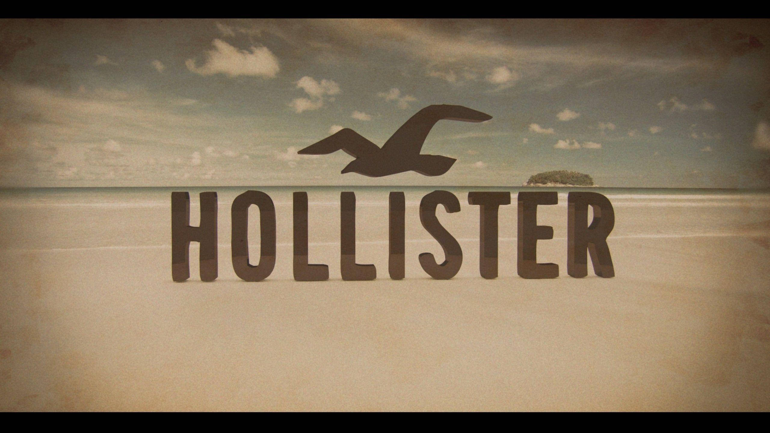 Hollister, beach, seagull, 2K Desktop Wallpaper