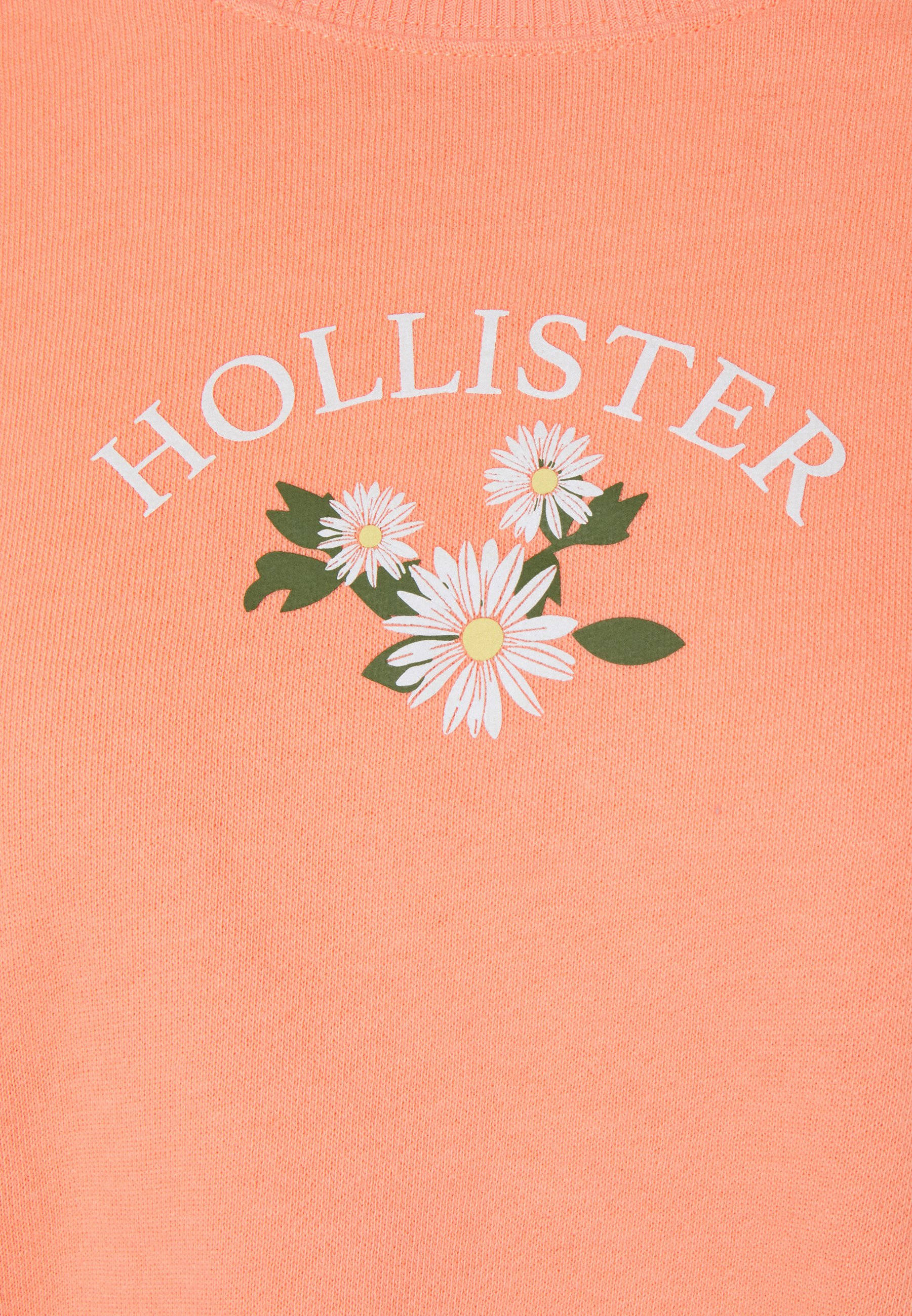 Hollister, three white flower illustration, coral pink, 2K Phone Wallpaper