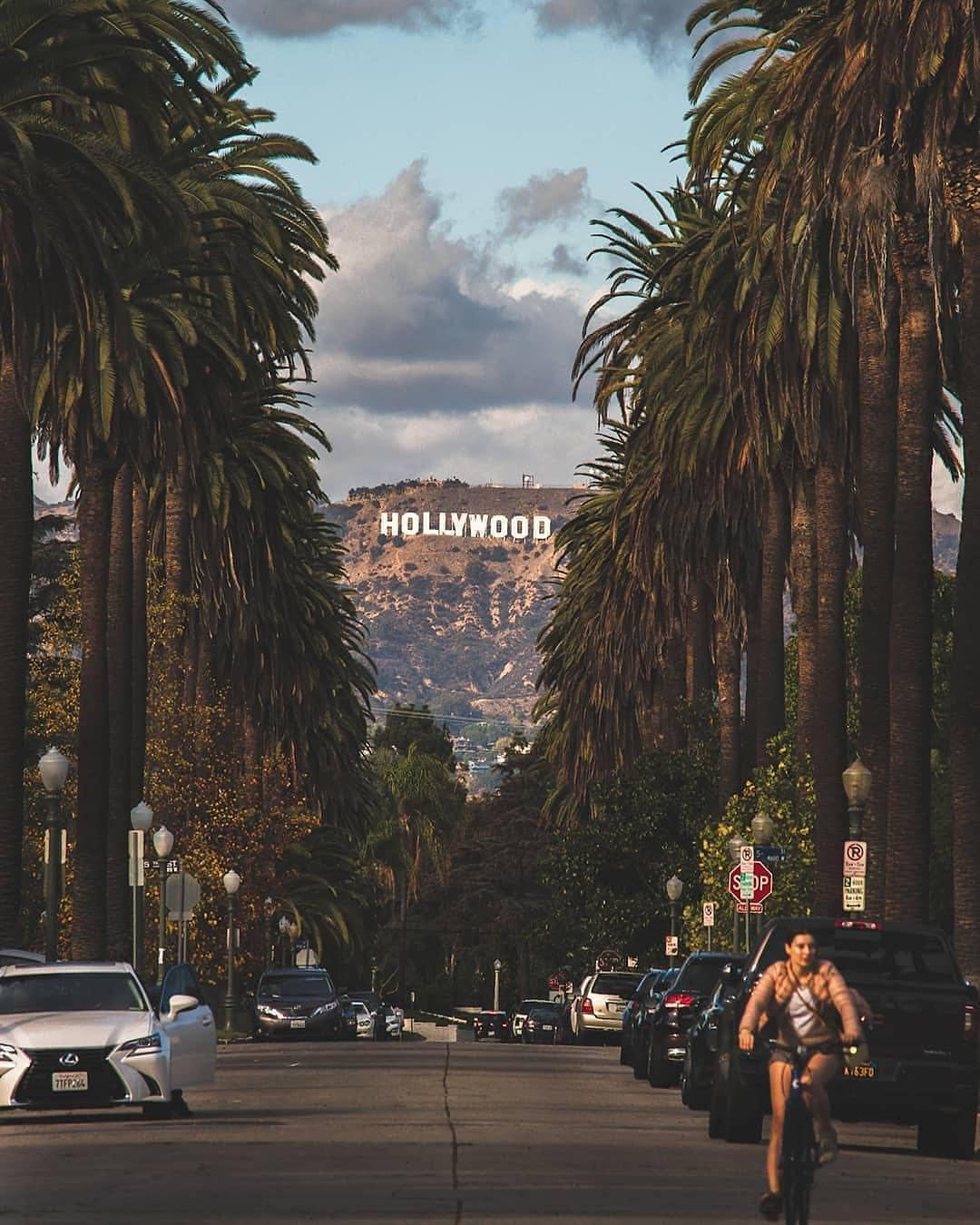 Hollywood sign, palm-lined street, partly cloudy sky, HD Phone Wallpaper