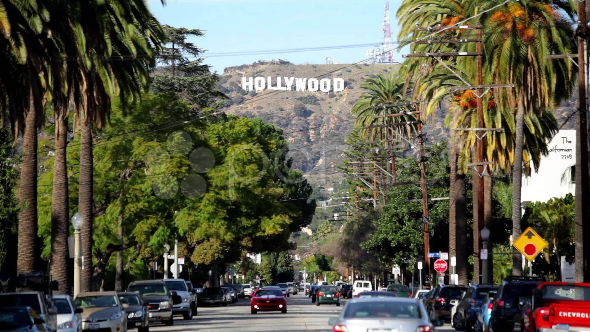 Hollywood Street, palm trees, Hollywood sign, Full HD Desktop Wallpaper