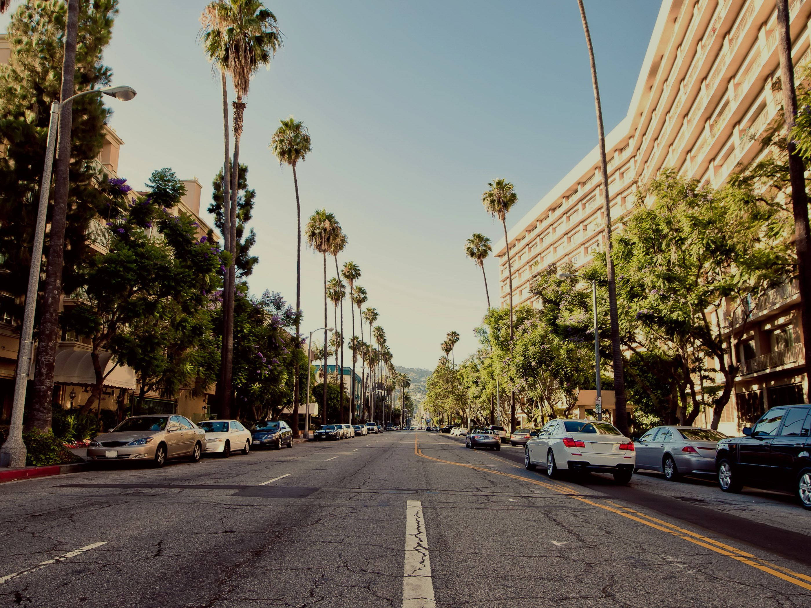 Hollywood Street, palm trees, sunlit, 2K Desktop Wallpaper