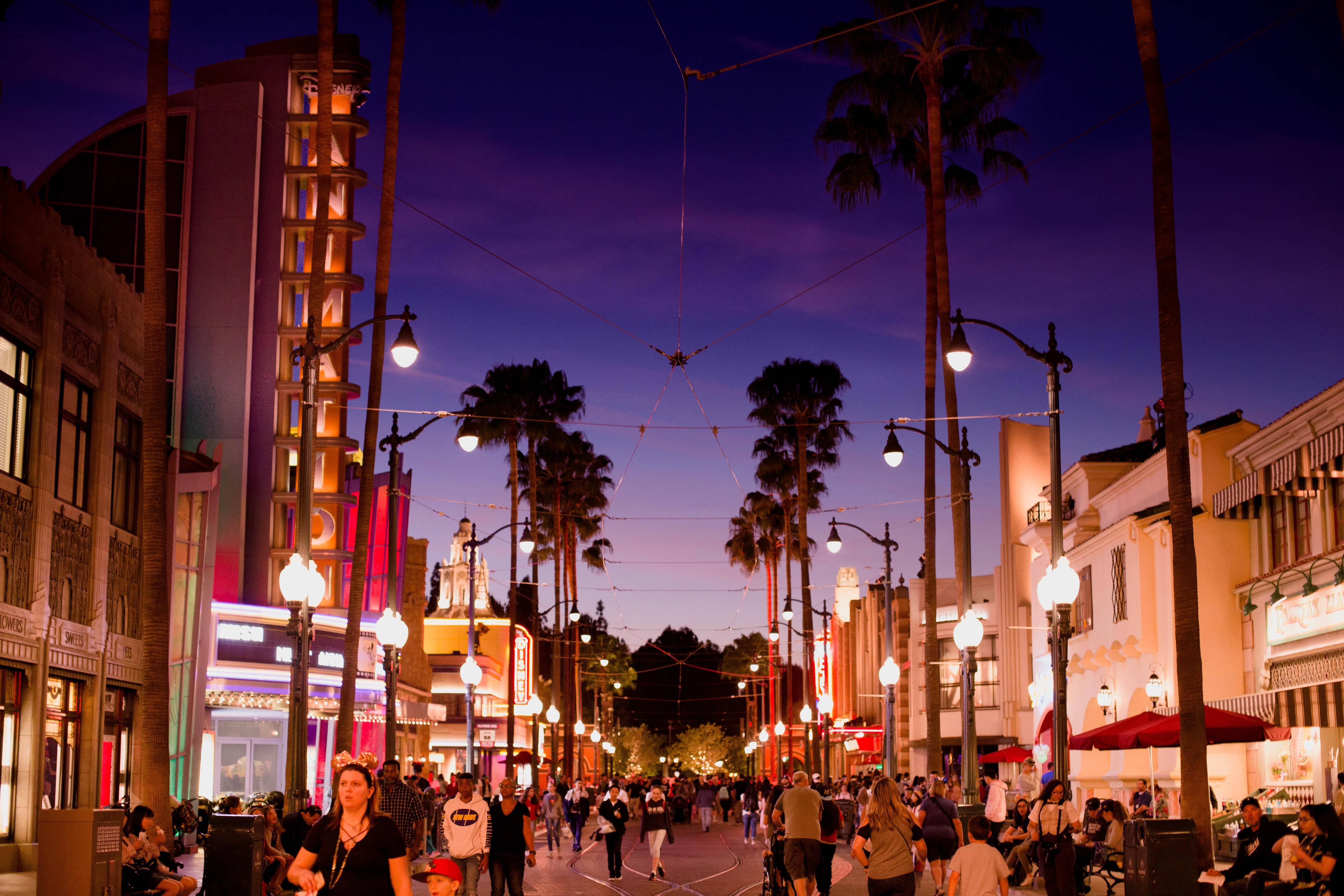 Hollywood Street, twilight, palm trees, 5K Desktop Wallpaper