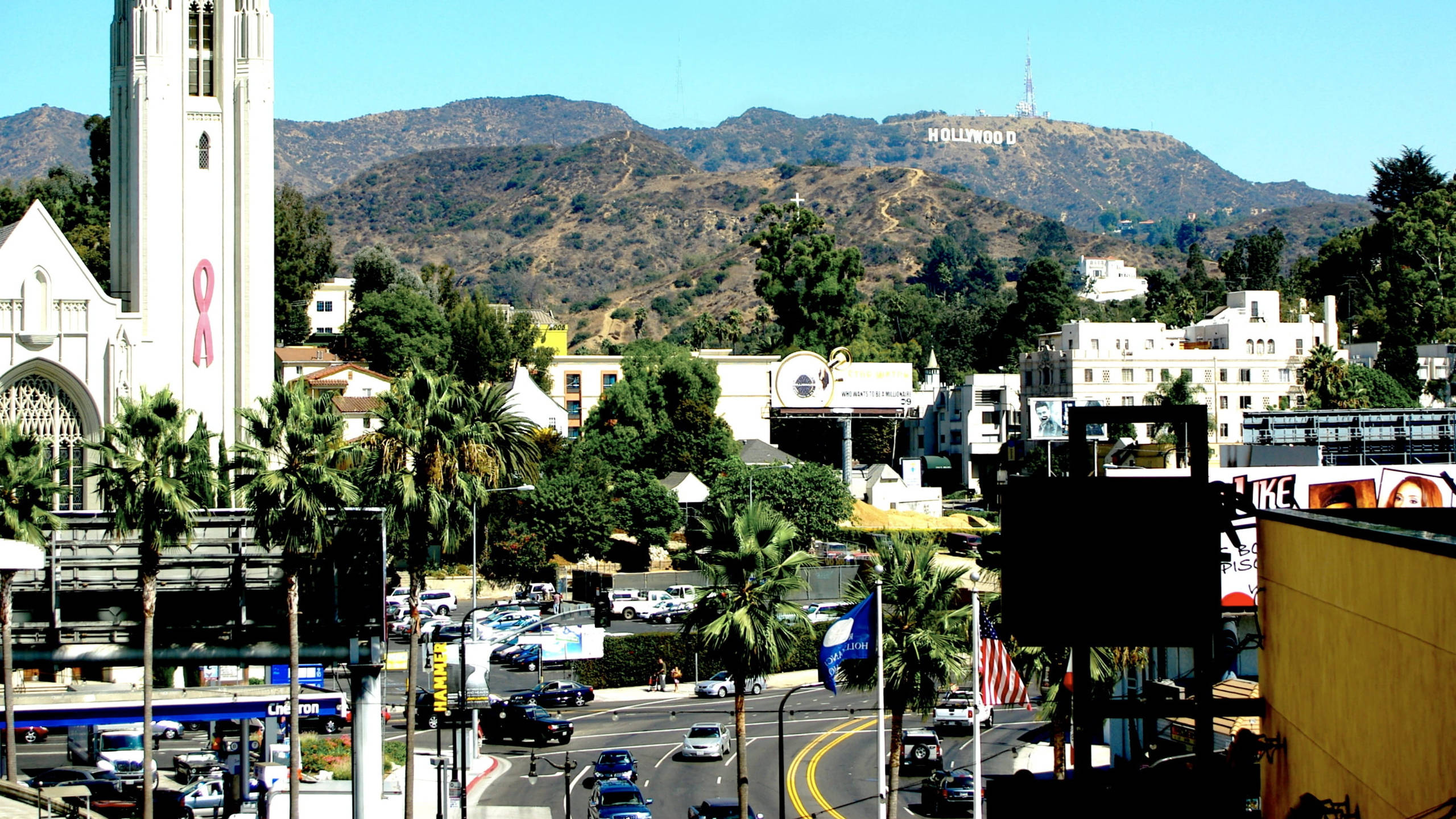 Hollywood, Hollywood Sign, palm trees, 2K Desktop Wallpaper
