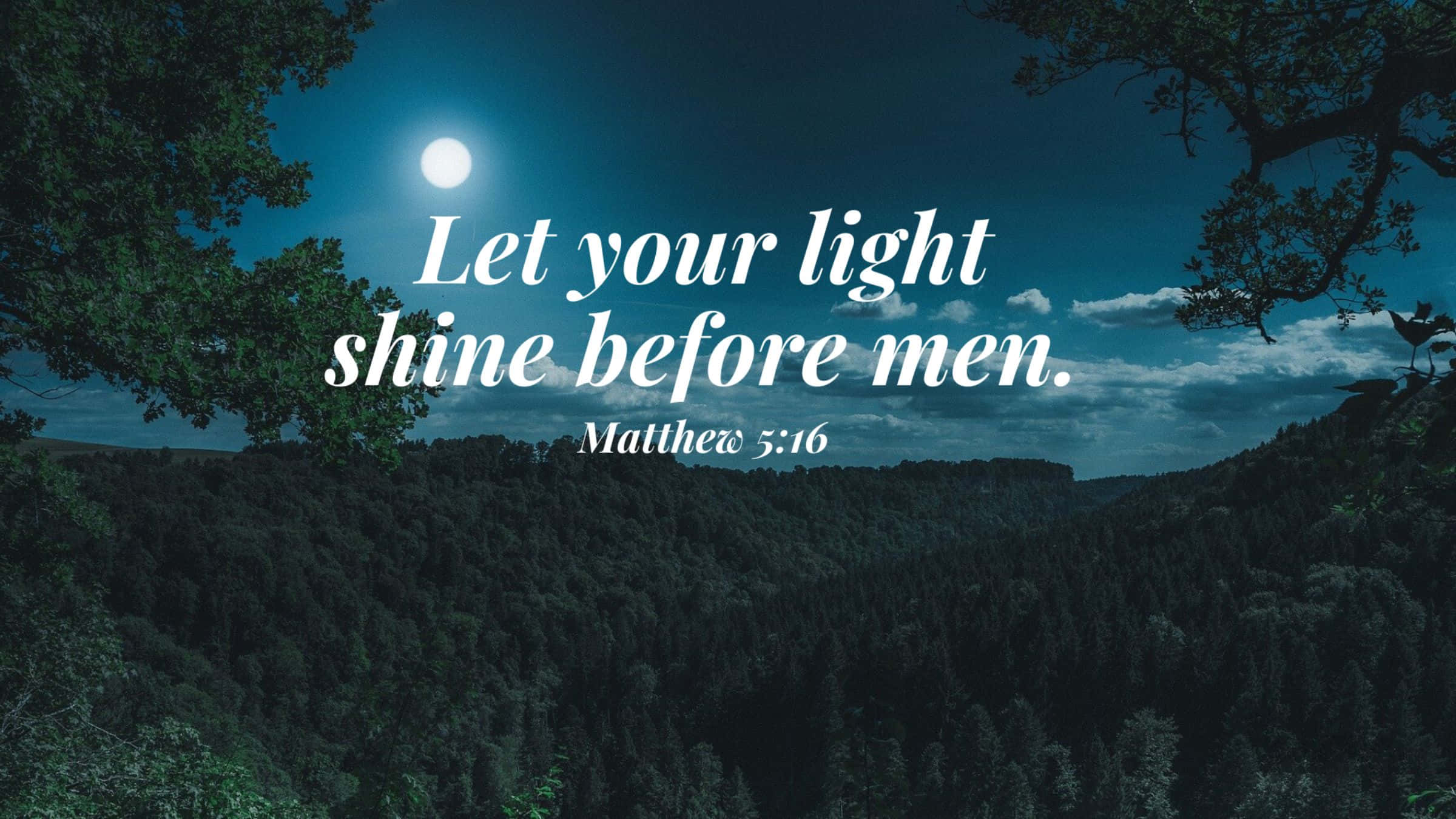 Bible, moonlit forest valley, trees, Full HD Desktop Wallpaper