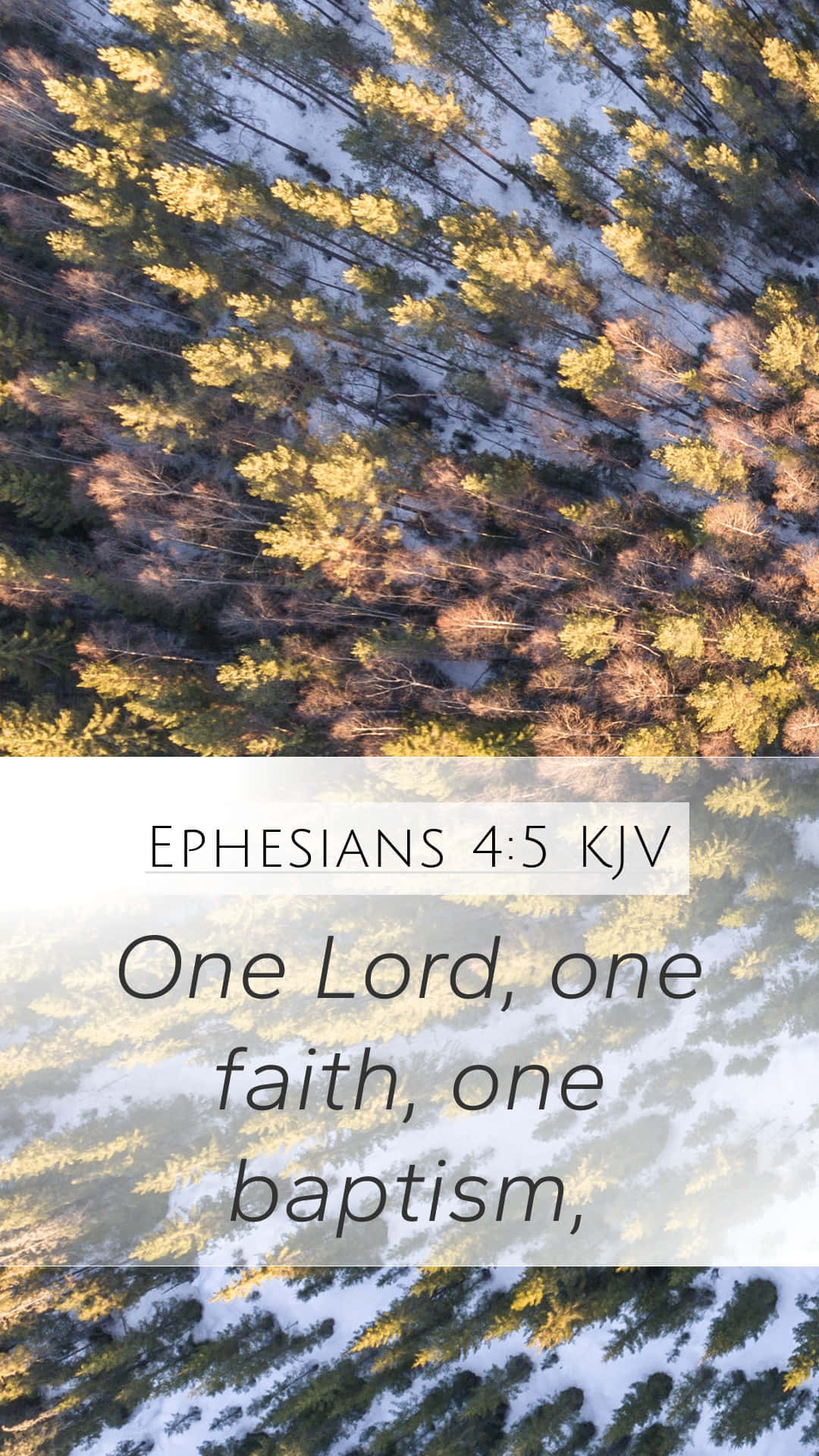 Ephesians 4:5 KJV, golden sunlight, snow-dusted pine forest, Full HD Phone Wallpaper