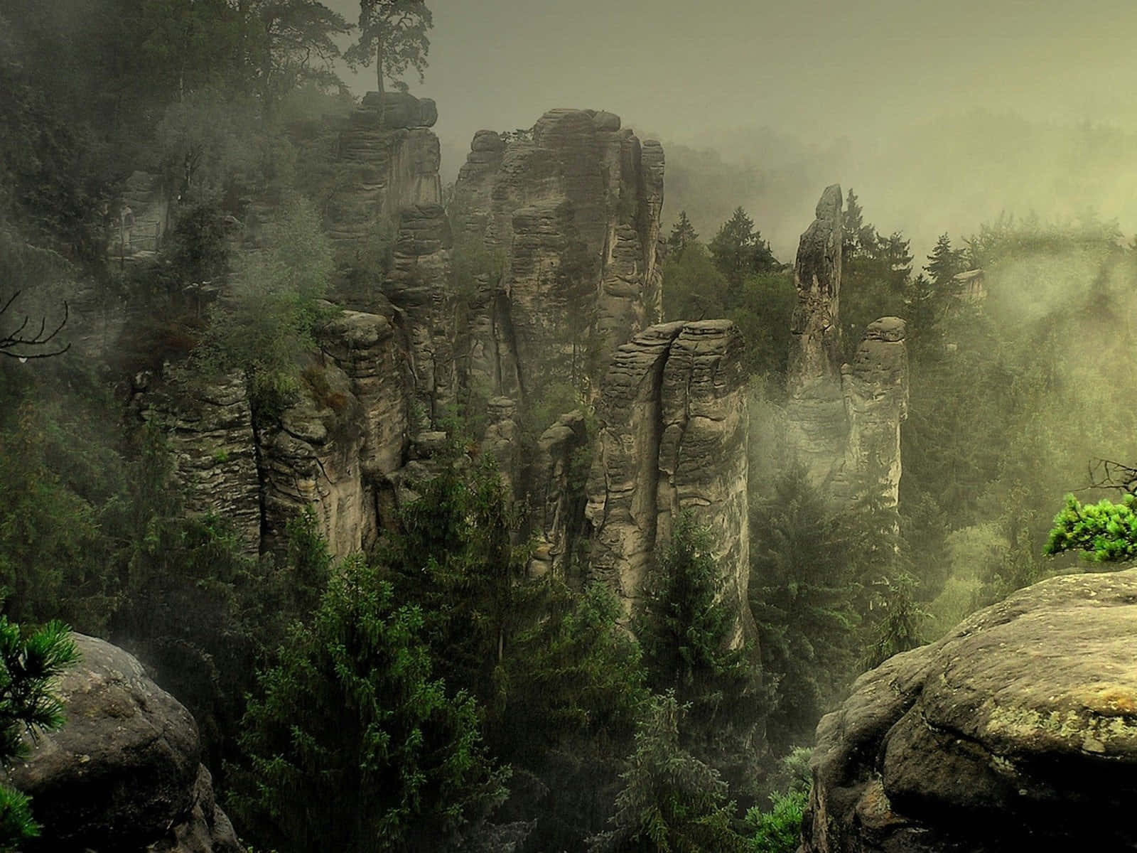 Holy Land, sunset, misty forest, HD Desktop Wallpaper
