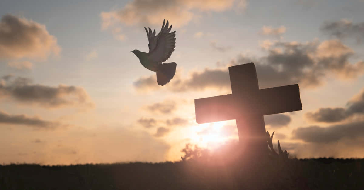 dove, cross, sunset, SD Desktop Wallpaper