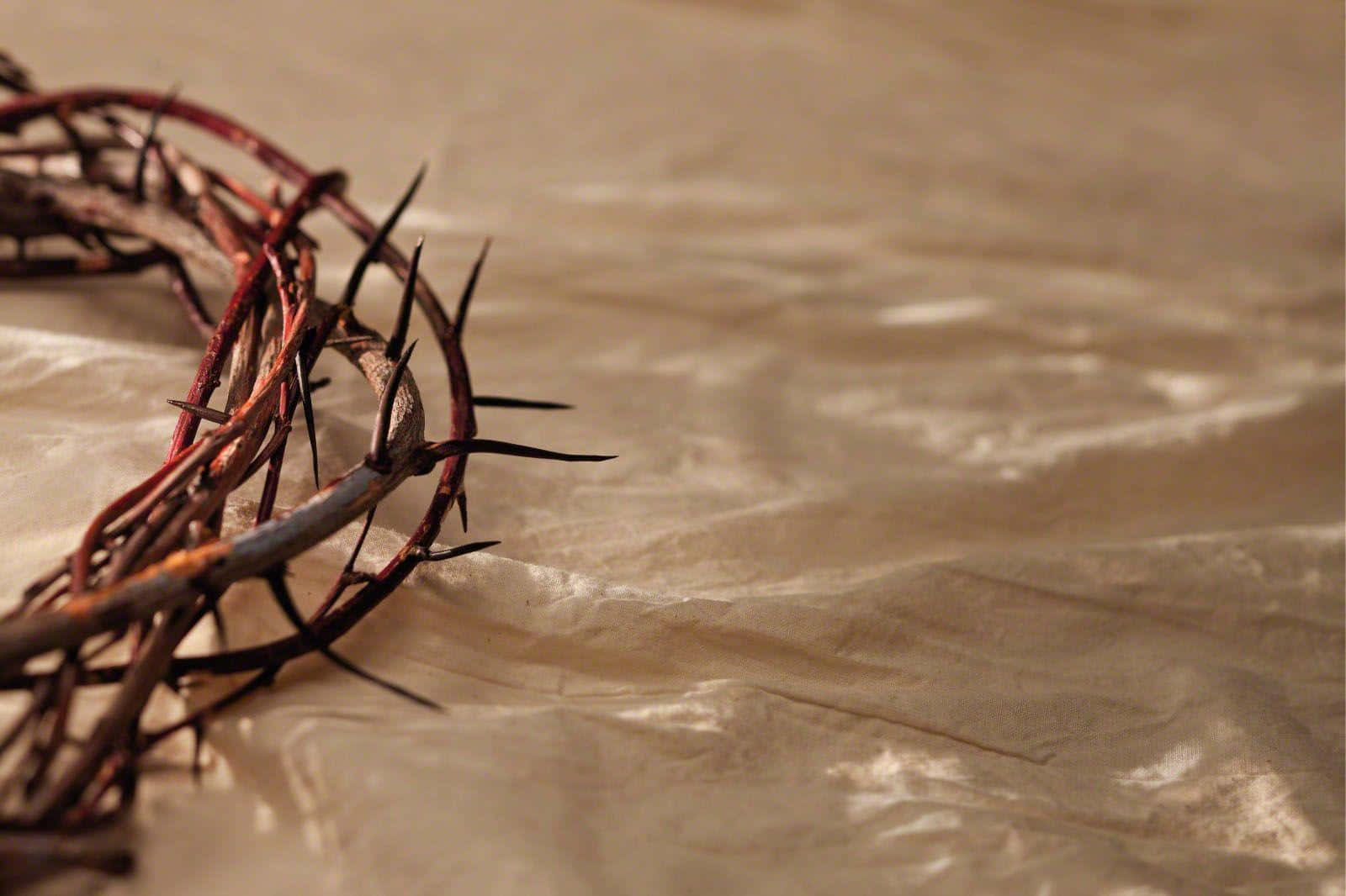 crown of thorns, beige fabric, soft warm light, HD Desktop Wallpaper