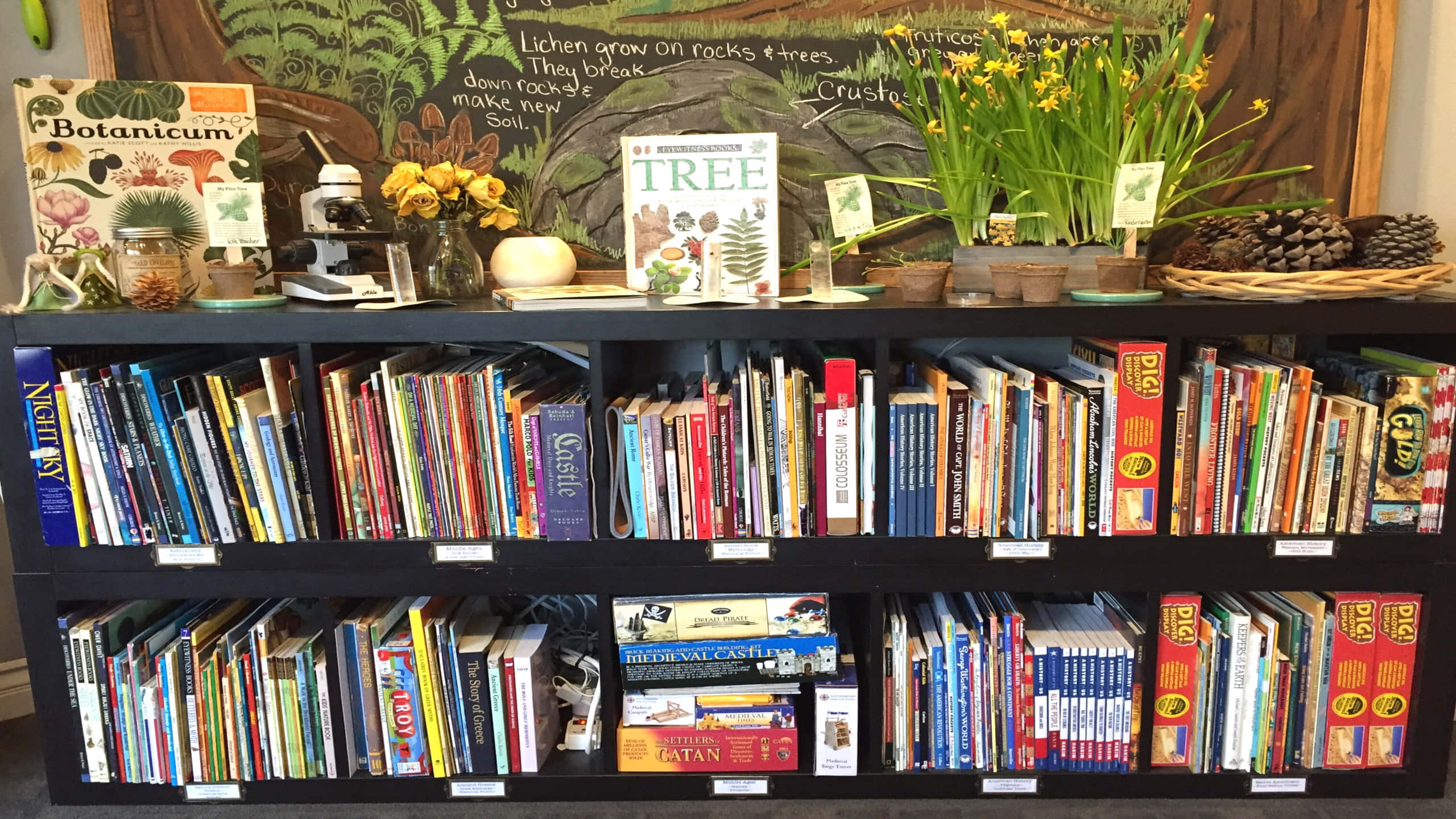 book shelf, nature-themed books, vibrant yellow flowers, 2K Desktop Wallpaper