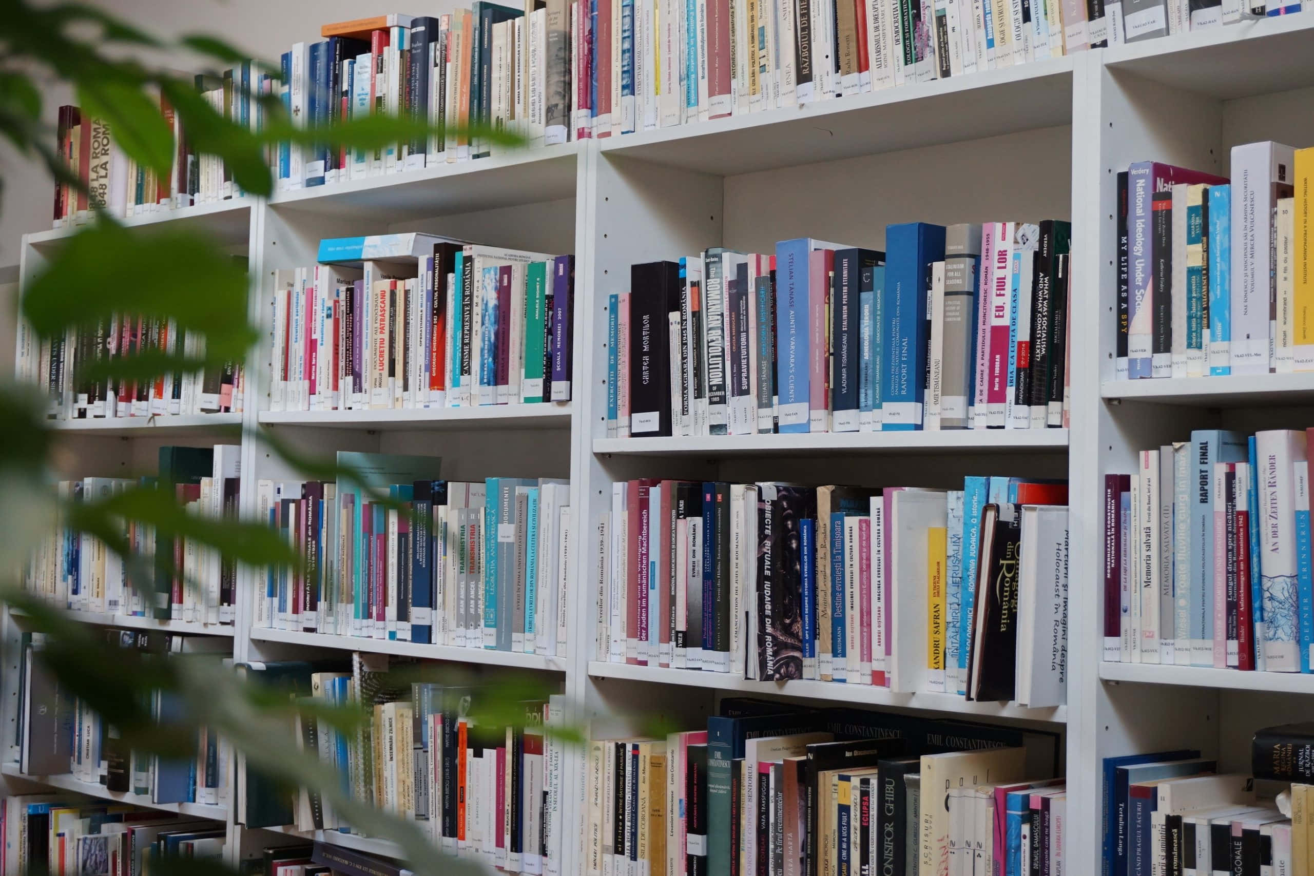 Home Library, white bookshelves, colorful books, 2K Desktop Wallpaper
