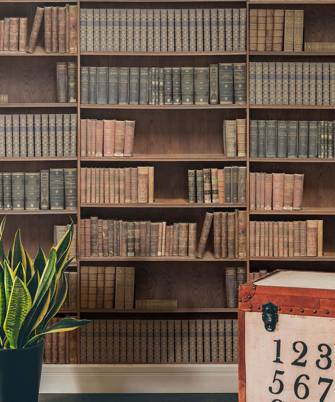 vintage library wall, wooden shelves, antique books, HD Phone Wallpaper