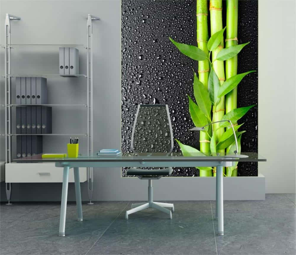 bamboo wall murals, black water droplet wall mural, vibrant green bamboo, SD Desktop Wallpaper