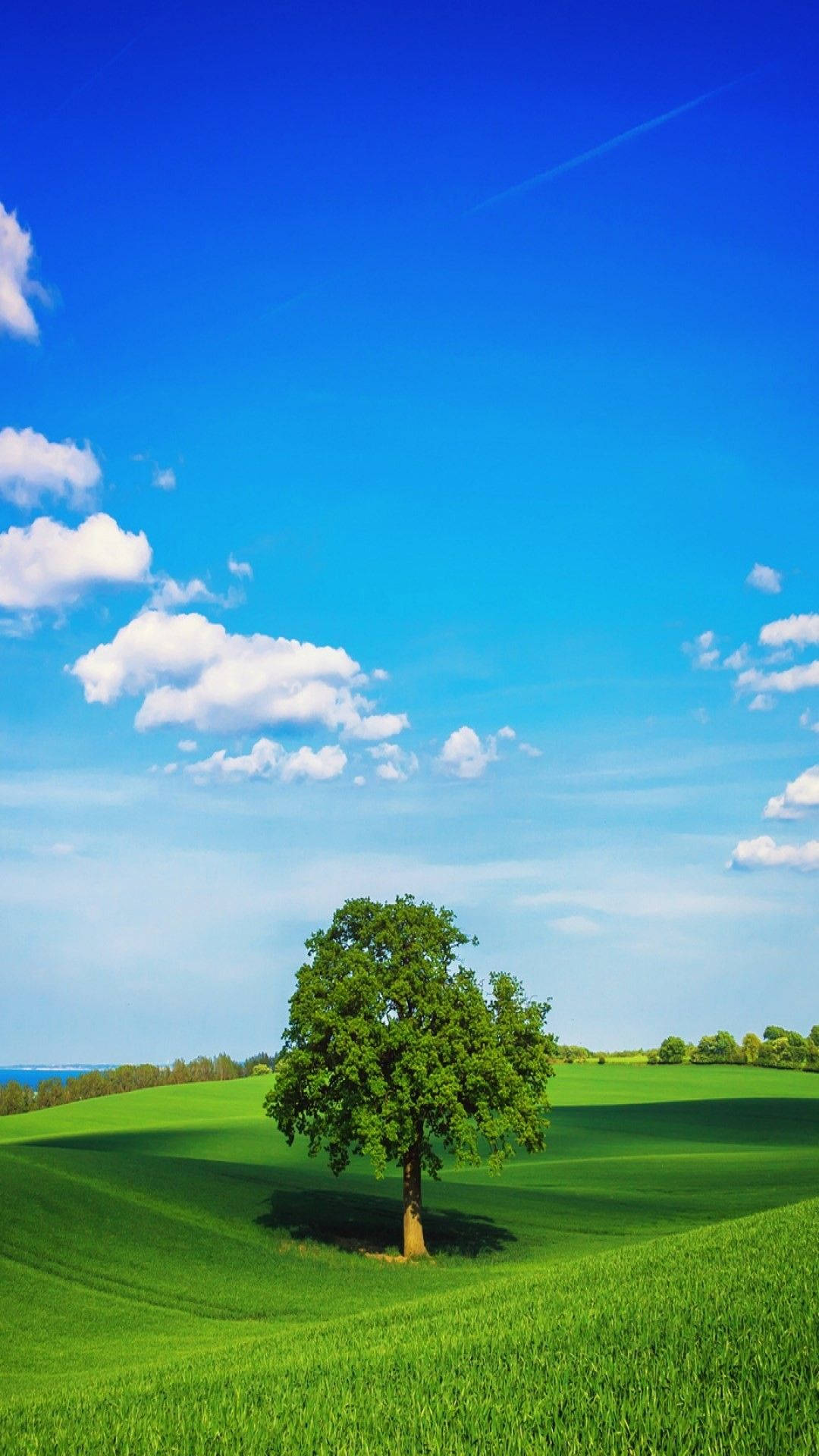 Green Tree, vibrant green hill, vast blue sky, Full HD Phone Wallpaper