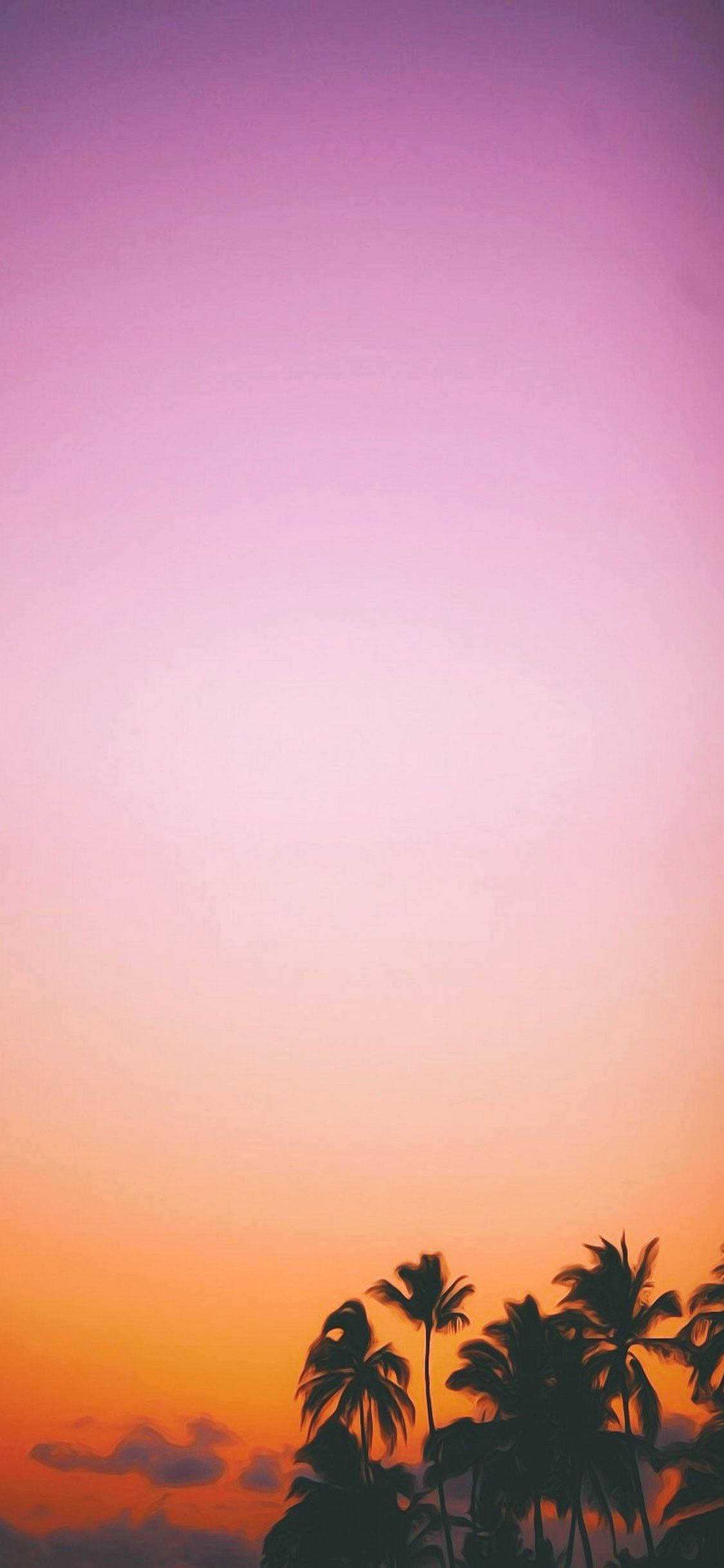 sunset, palm trees, gradient sky, Full HD Phone Wallpaper