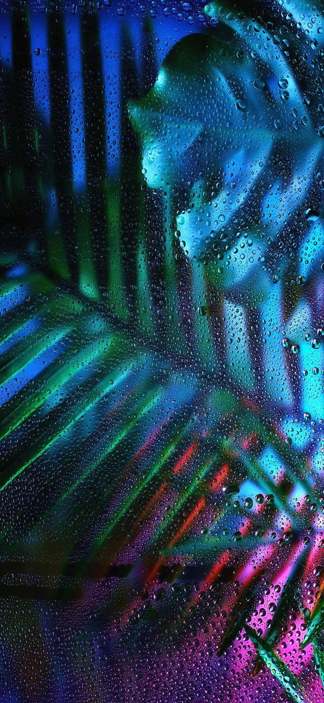 tropical plants, neon lights, rain-slicked glass, Full HD Phone Wallpaper