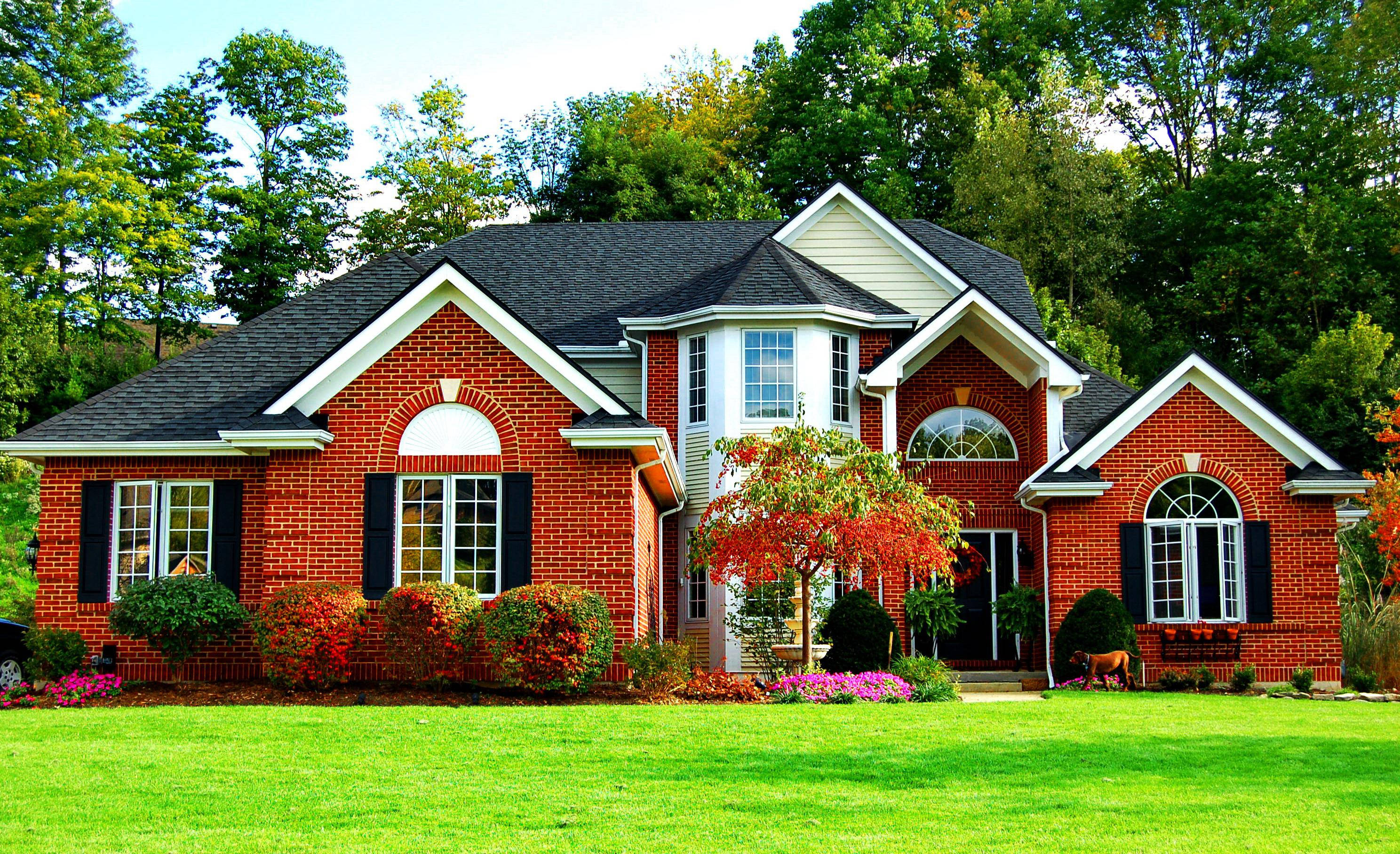 red brick house, white trim, black shutters, 2K Desktop Wallpaper