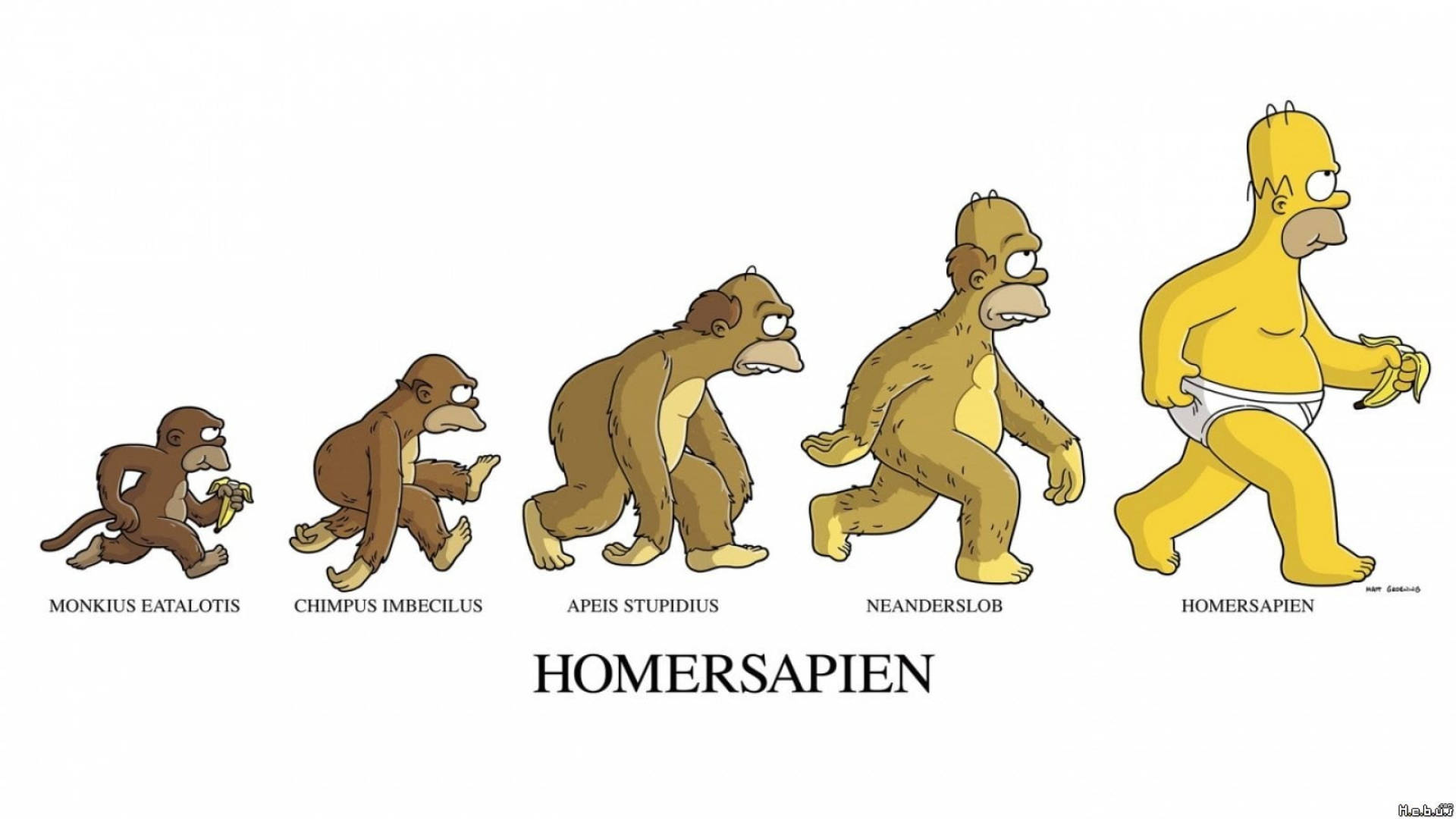 Homer Simpson, monkey, banana, Full HD Desktop Wallpaper