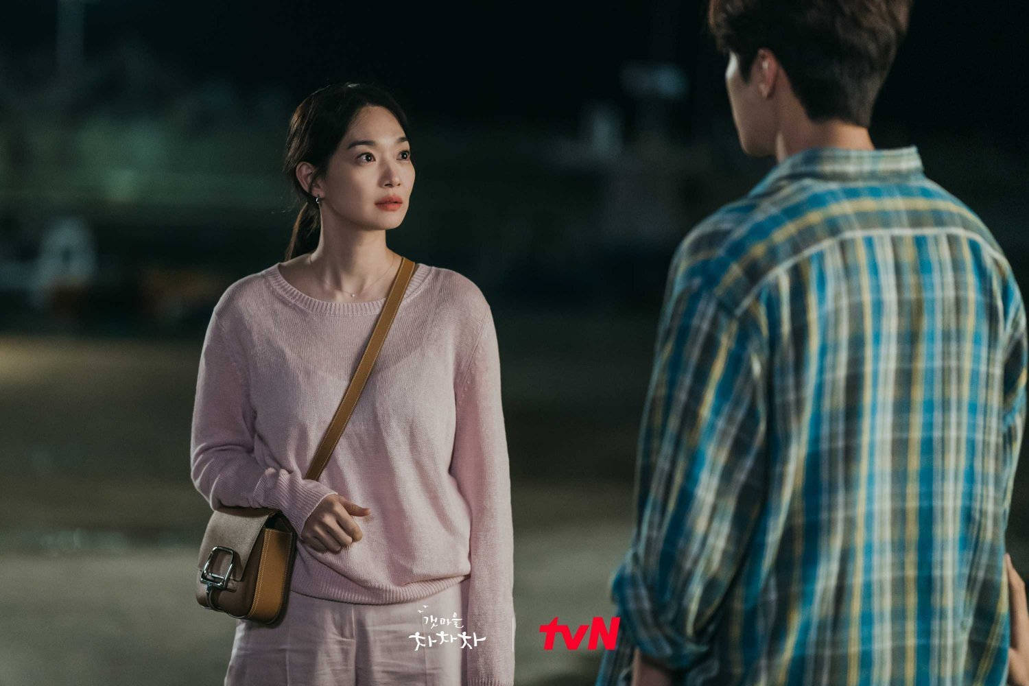 Hometown Cha Cha Cha, pink sweater, plaid shirt, HD Desktop Wallpaper