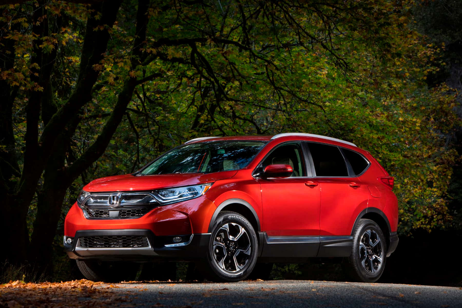 Honda CR-V, vibrant red, forest road, HD Desktop Wallpaper