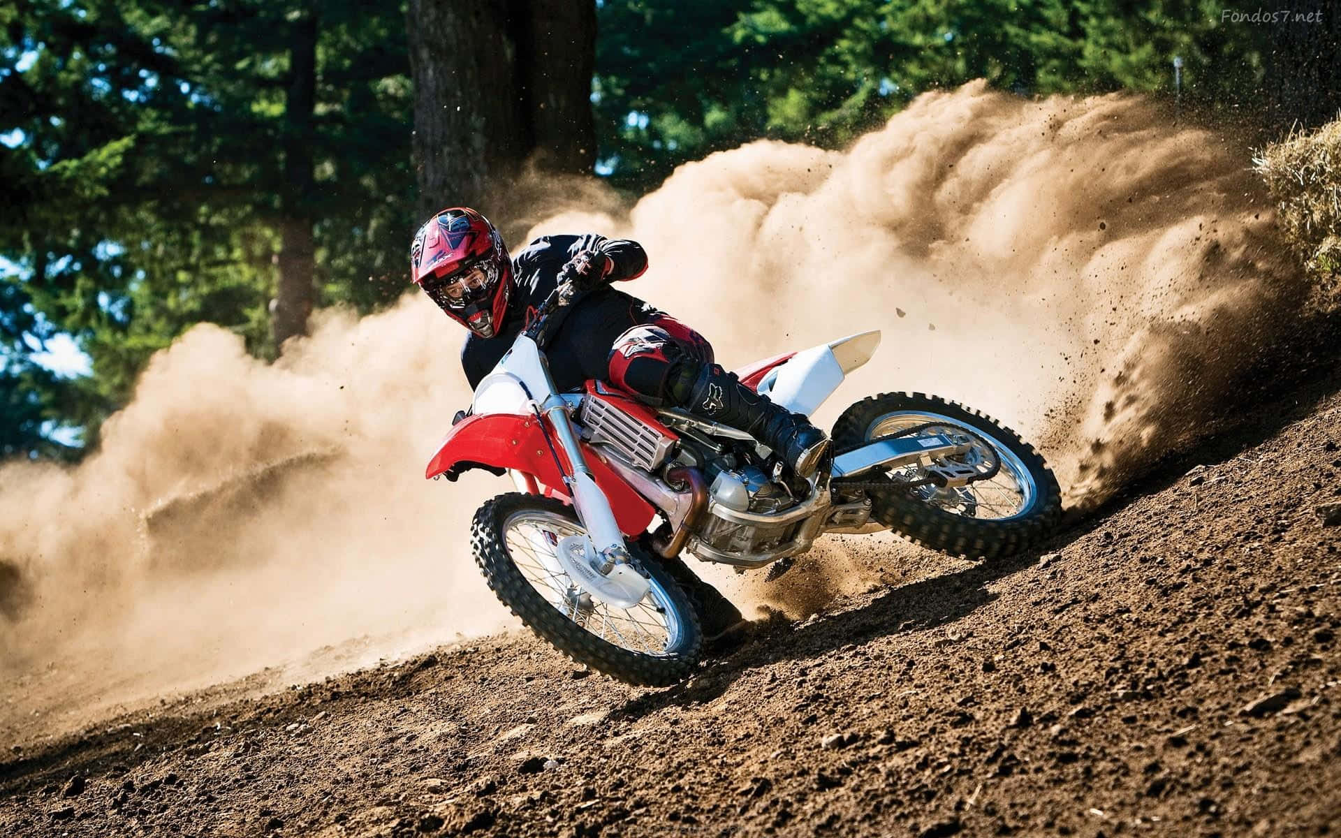 Honda Dirt Bike, red dirt bike, sunlit forest trail, Full HD Desktop Wallpaper