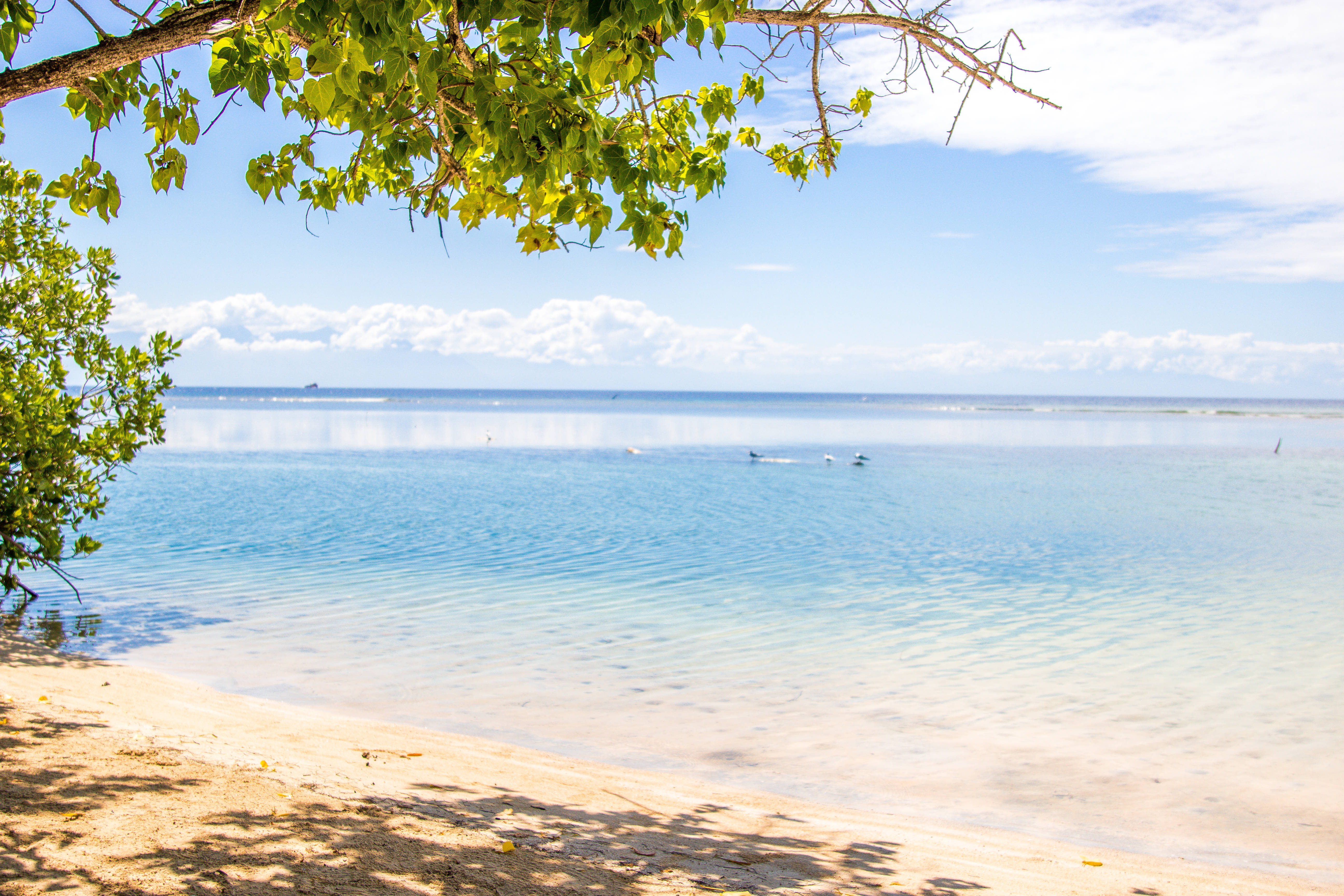 Honduras, blue beach, turquoise water, 5K Desktop Wallpaper