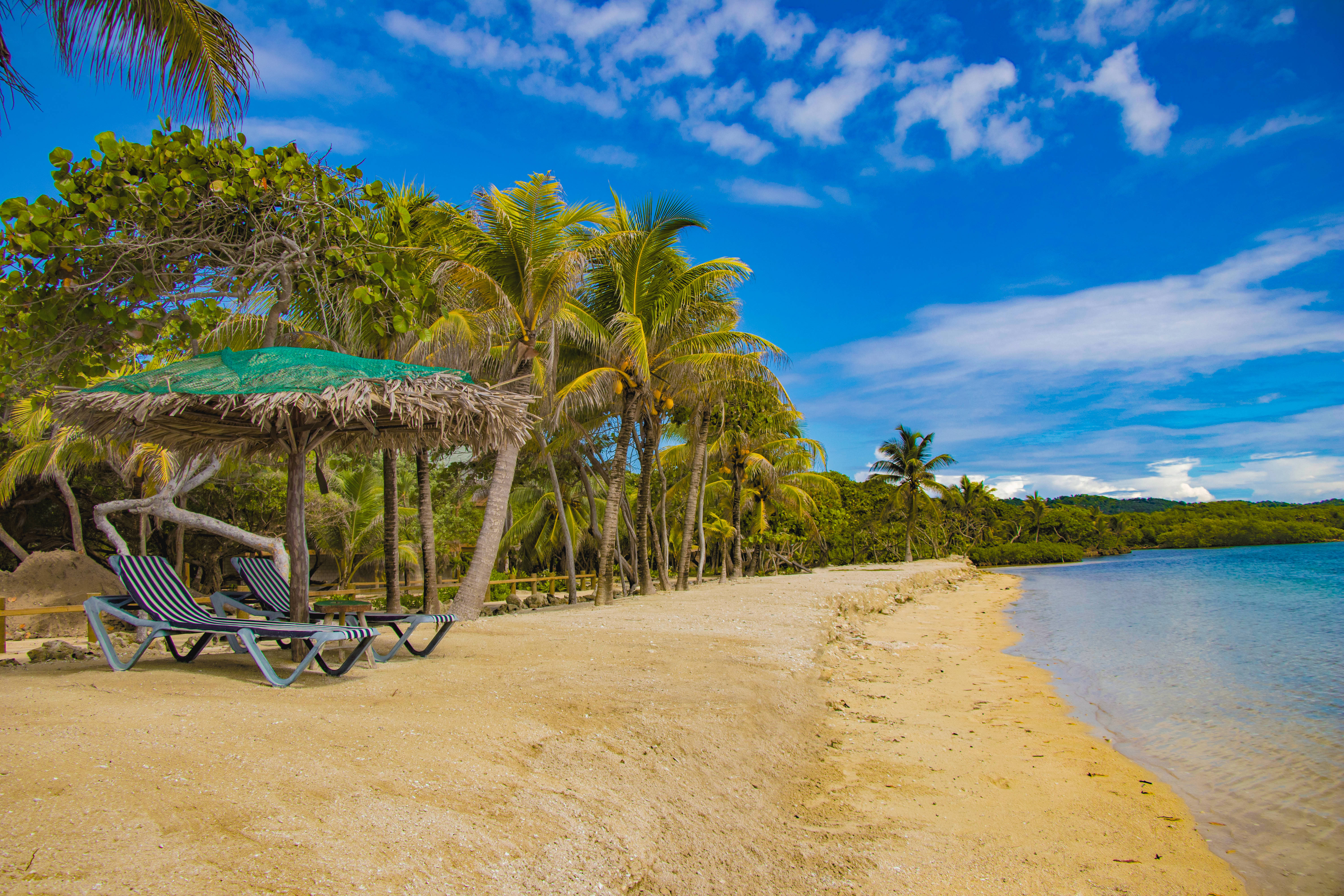 Honduras, beach, palm trees, 5K Desktop Wallpaper