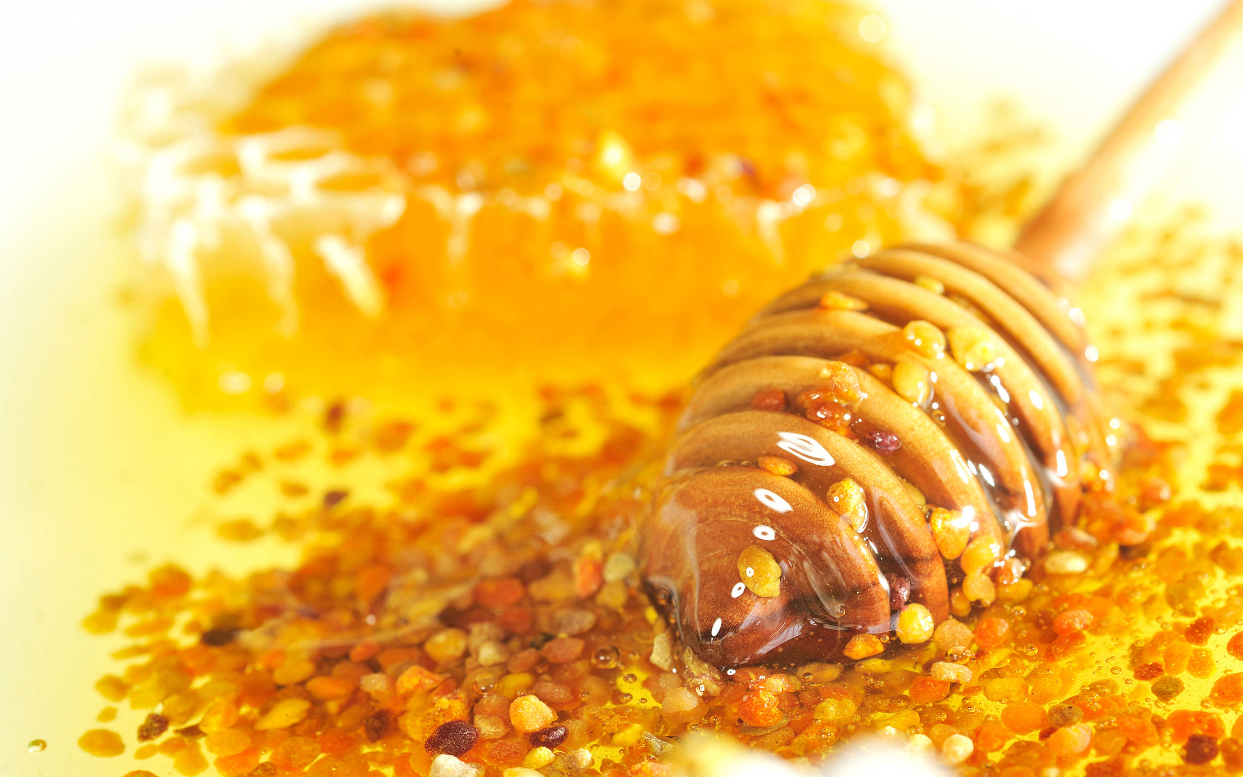 sticky dipper, honey, wooden dipper, 2K Desktop Wallpaper
