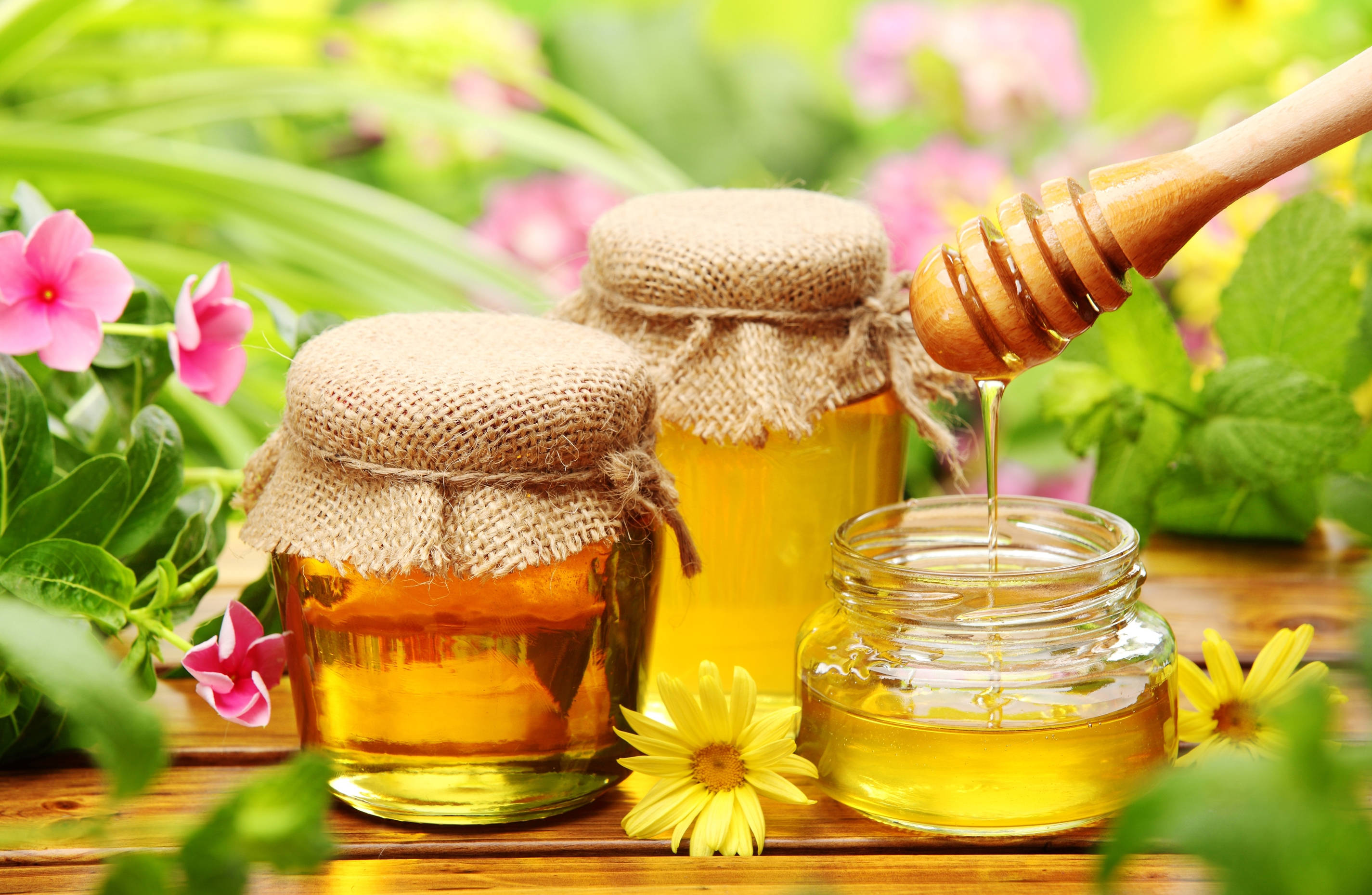 floral table, golden honey, wooden dipper, 2K Desktop Wallpaper