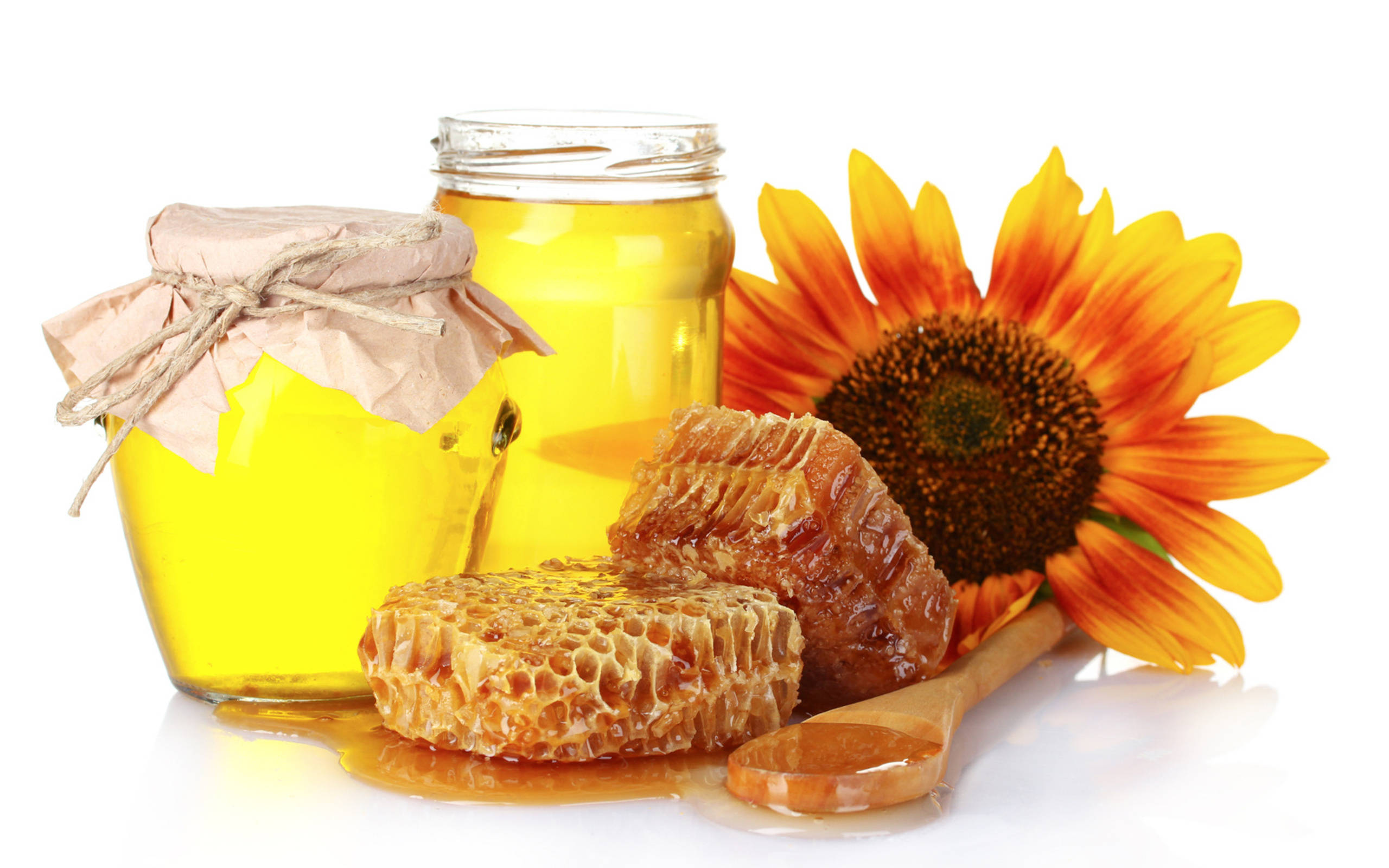 vibrant yellow honey, sunflower, golden honey, 2K Desktop Wallpaper